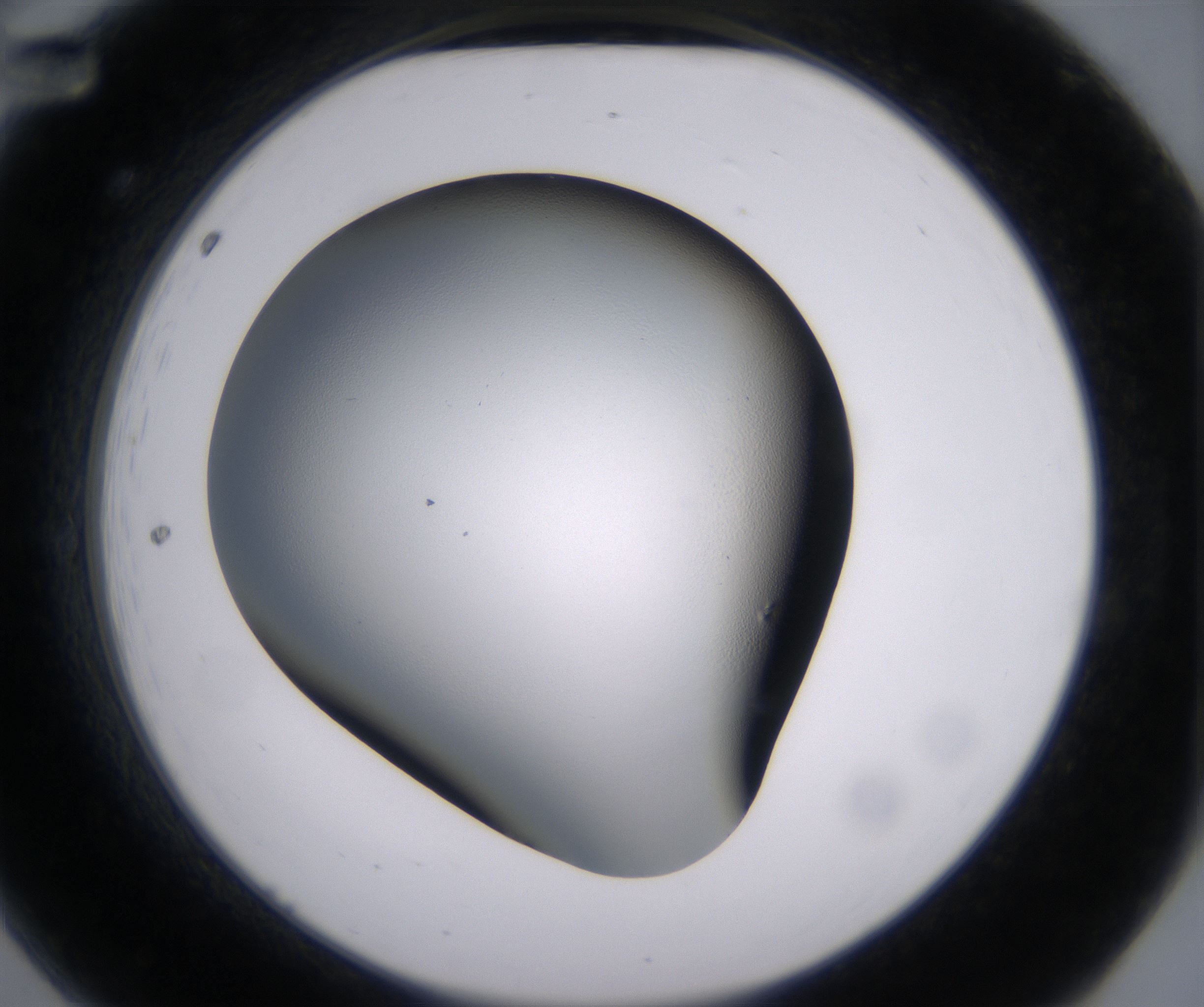 A12_HighResolution_Clear_2.jpg