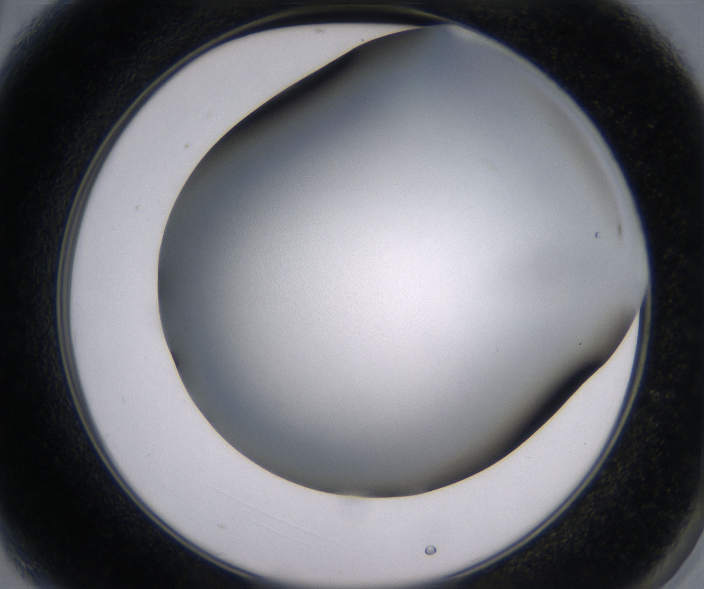 A3_HighResolution_Clear_2.jpg