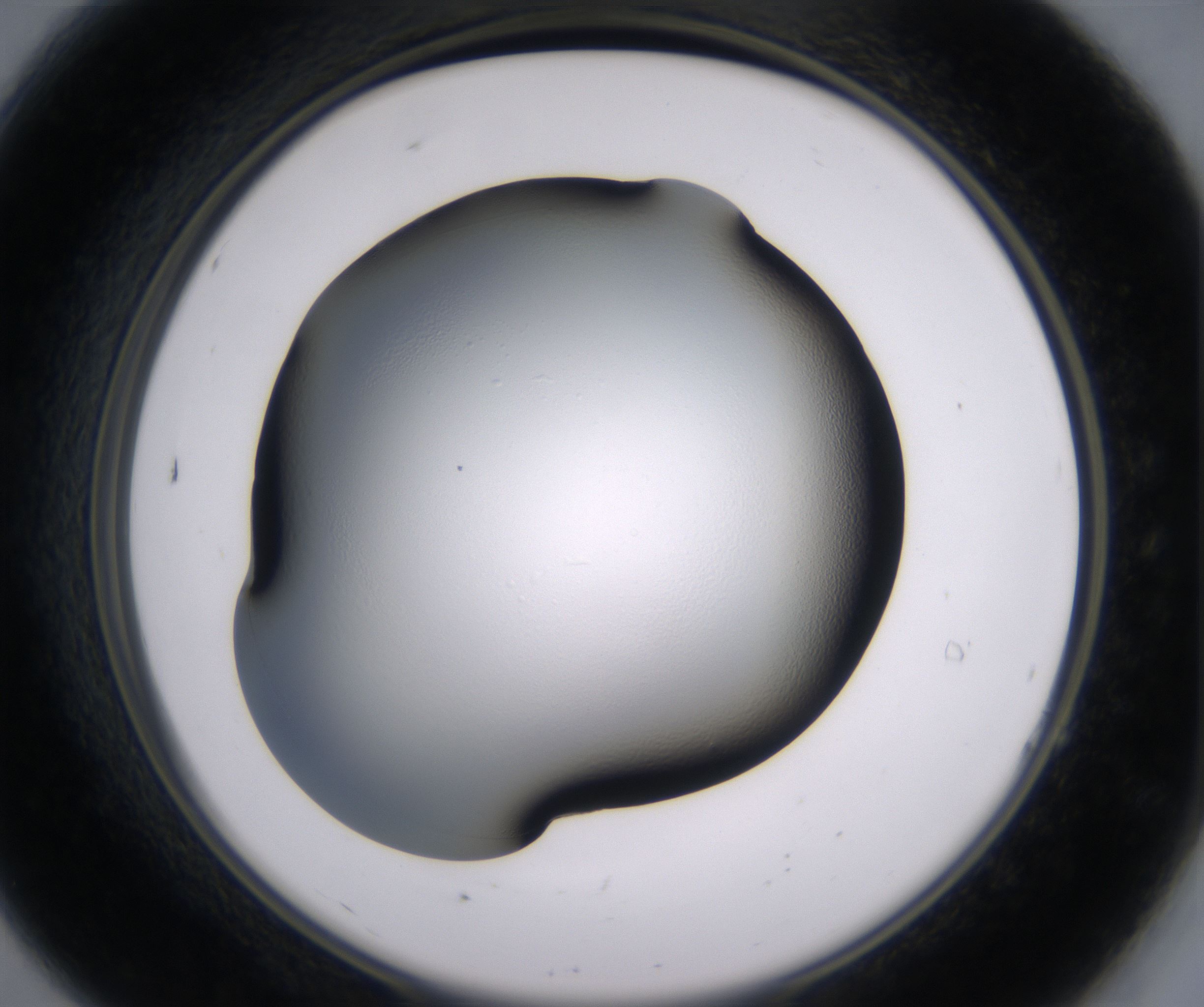 A7_HighResolution_Clear_2.jpg