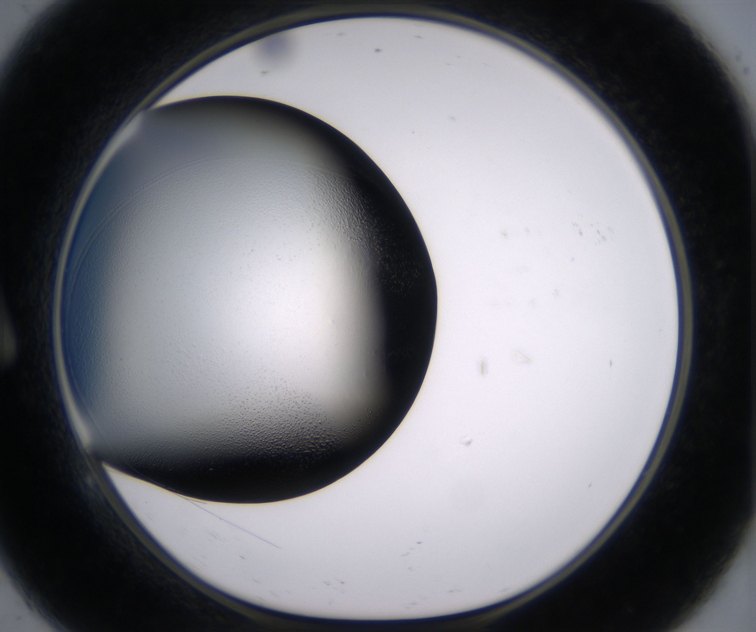A9_HighResolution_Clear_1.jpg