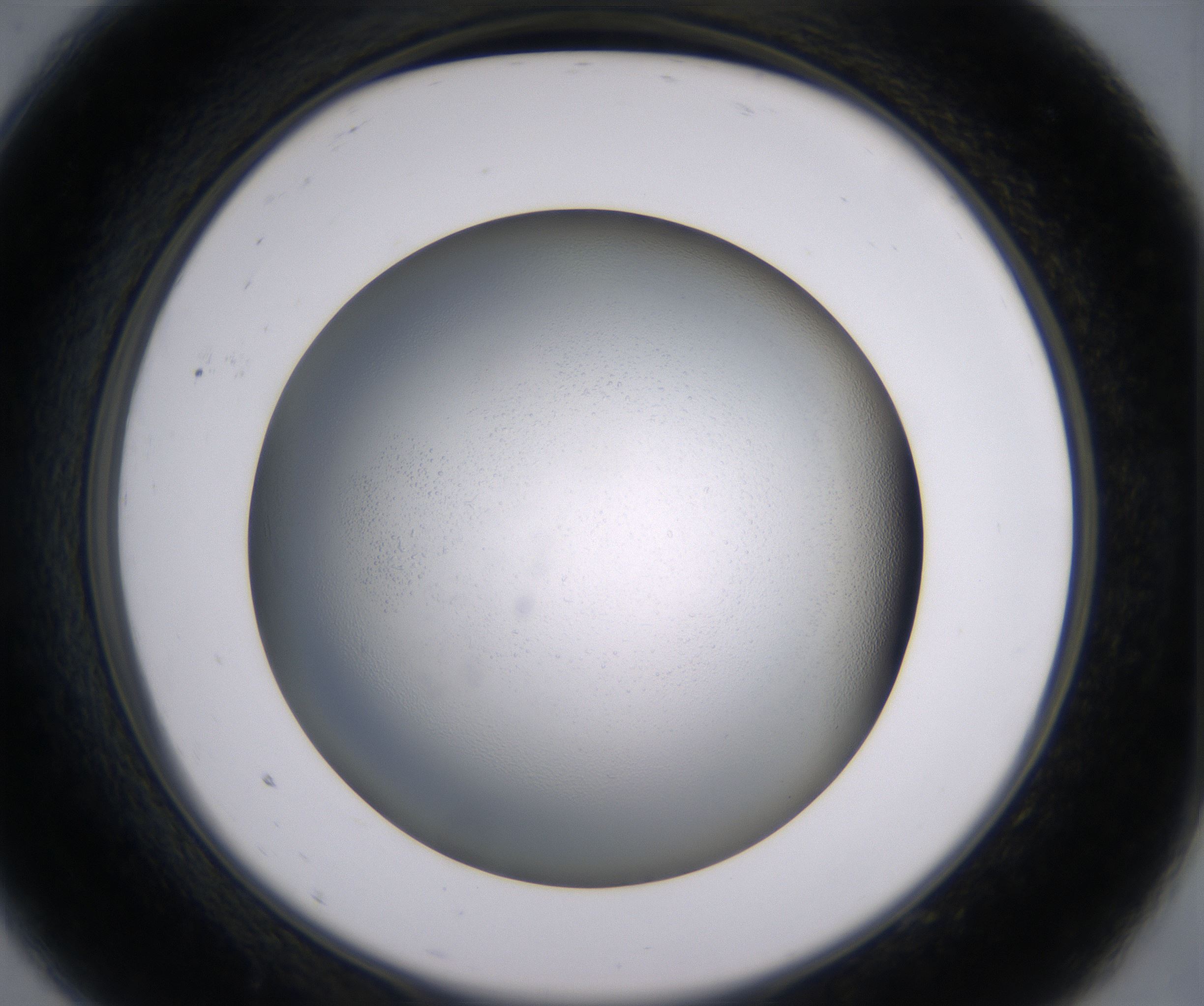 A9_HighResolution_Clear_2.jpg