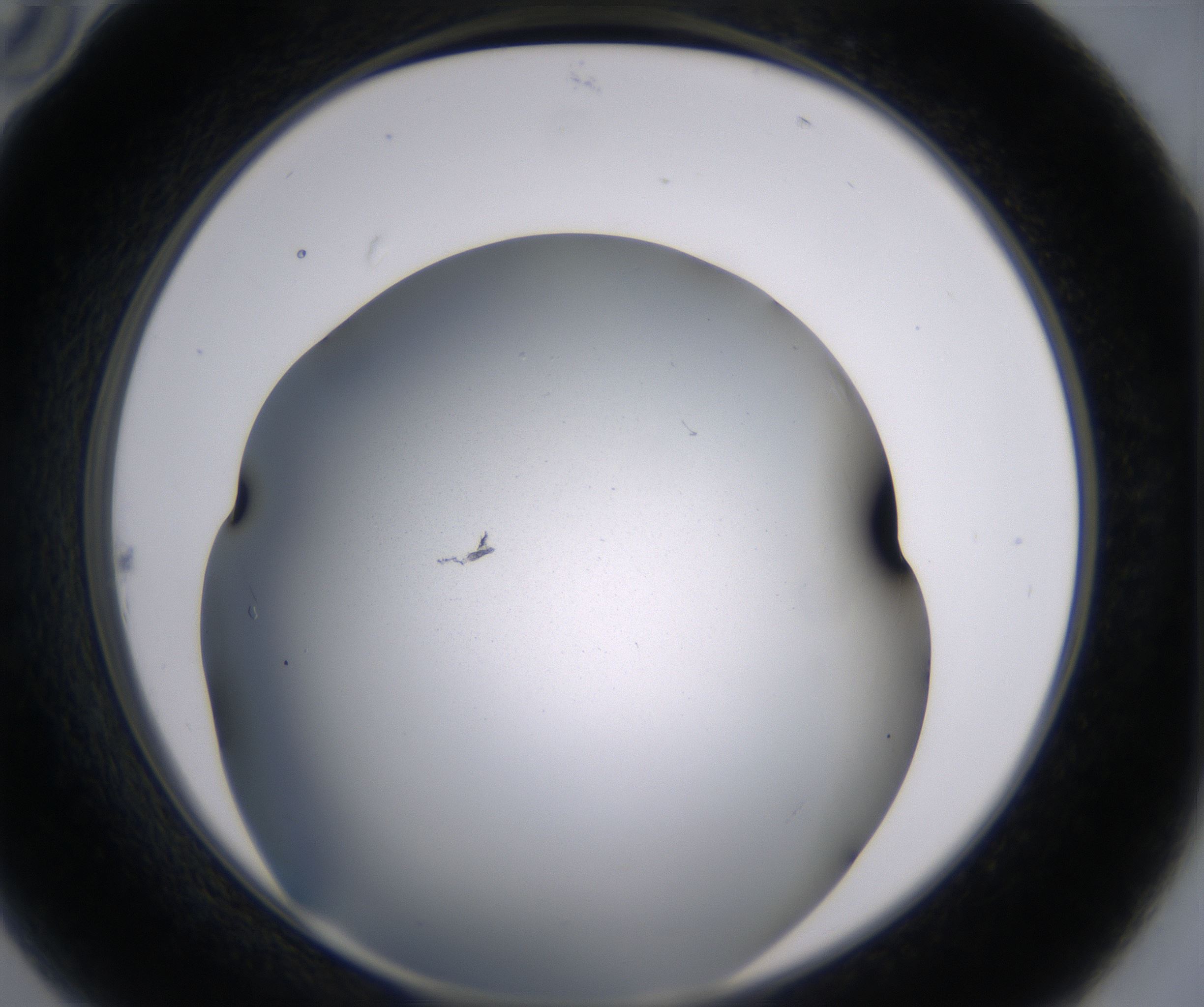 B10_HighResolution_Clear_2.jpg
