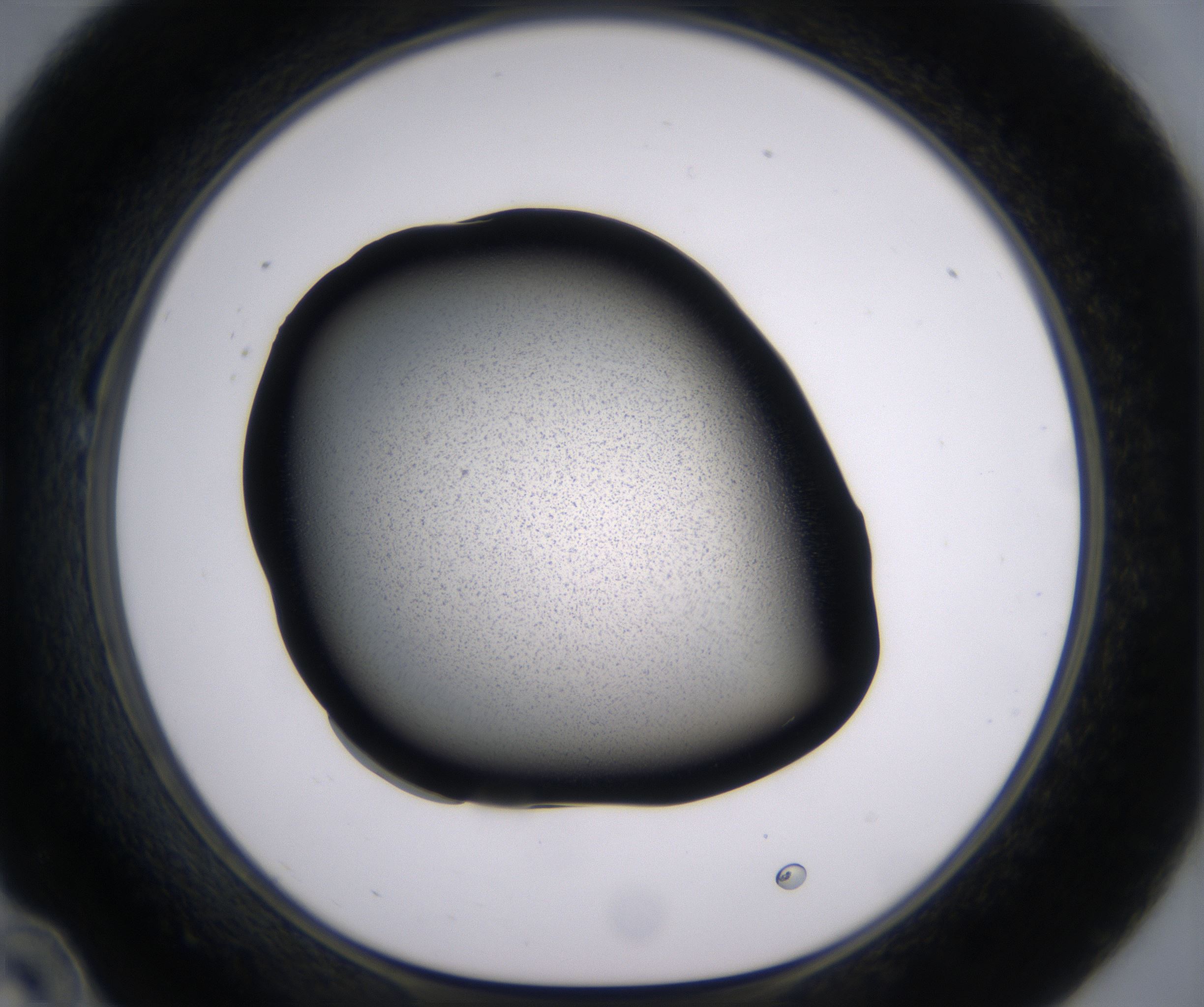 B10_HighResolution_Precipitate_1.jpg