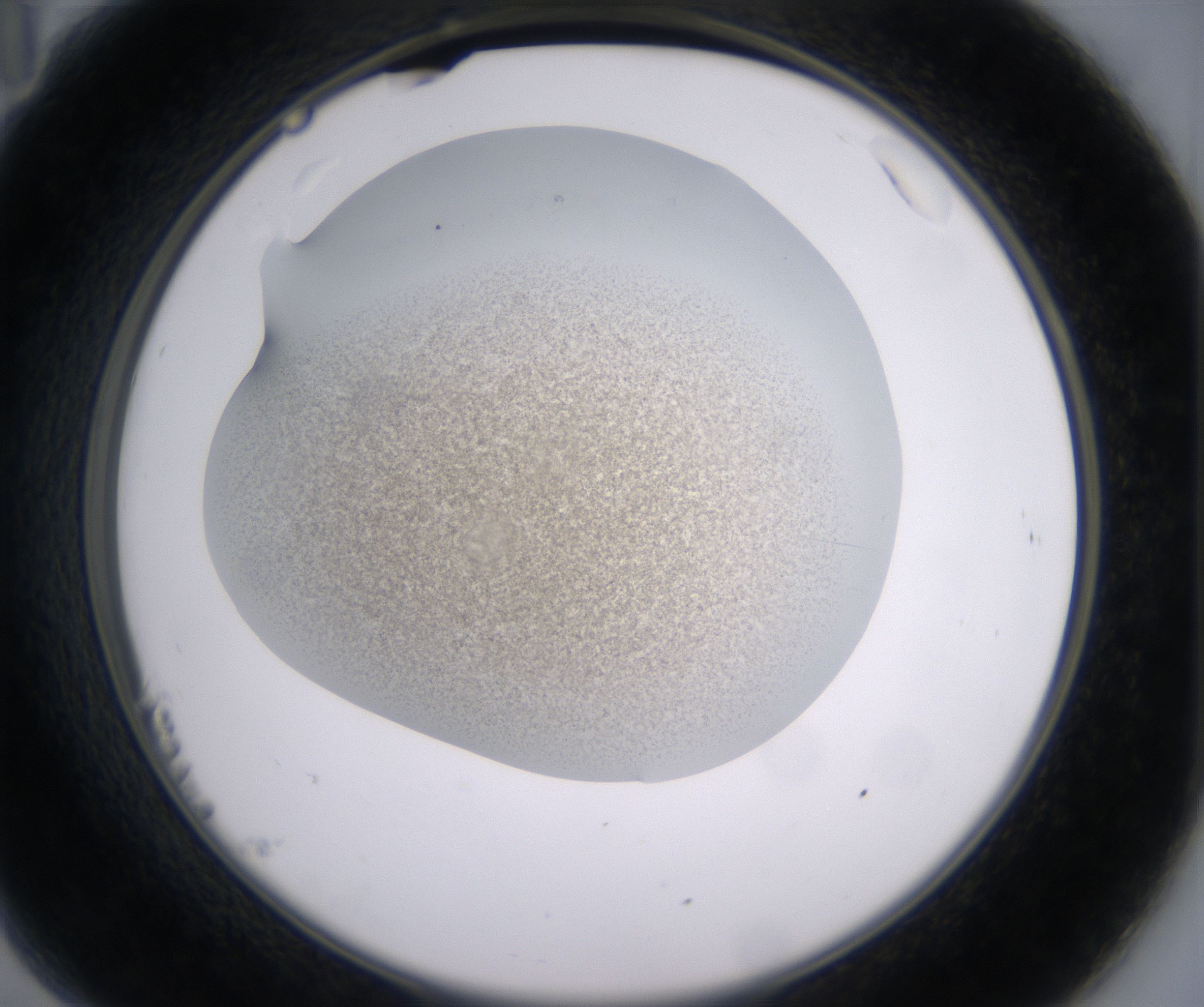 B11_HighResolution_Precipitate_2.jpg