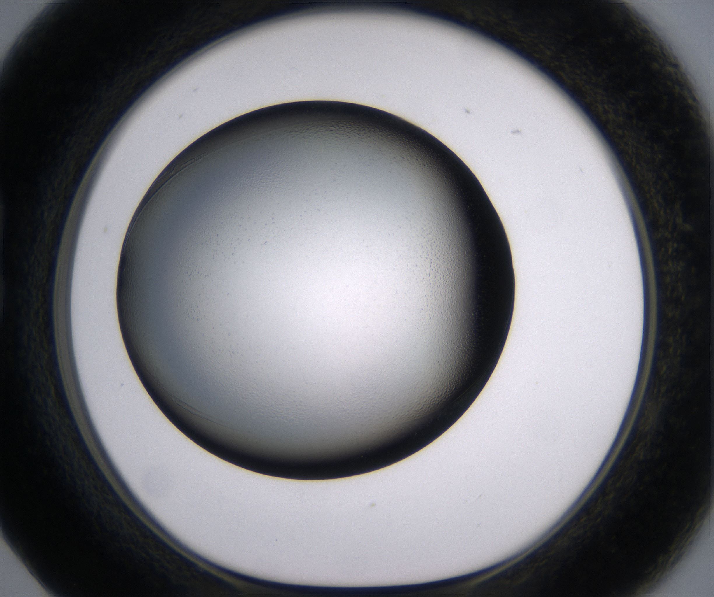 B5_HighResolution_Clear_1.jpg
