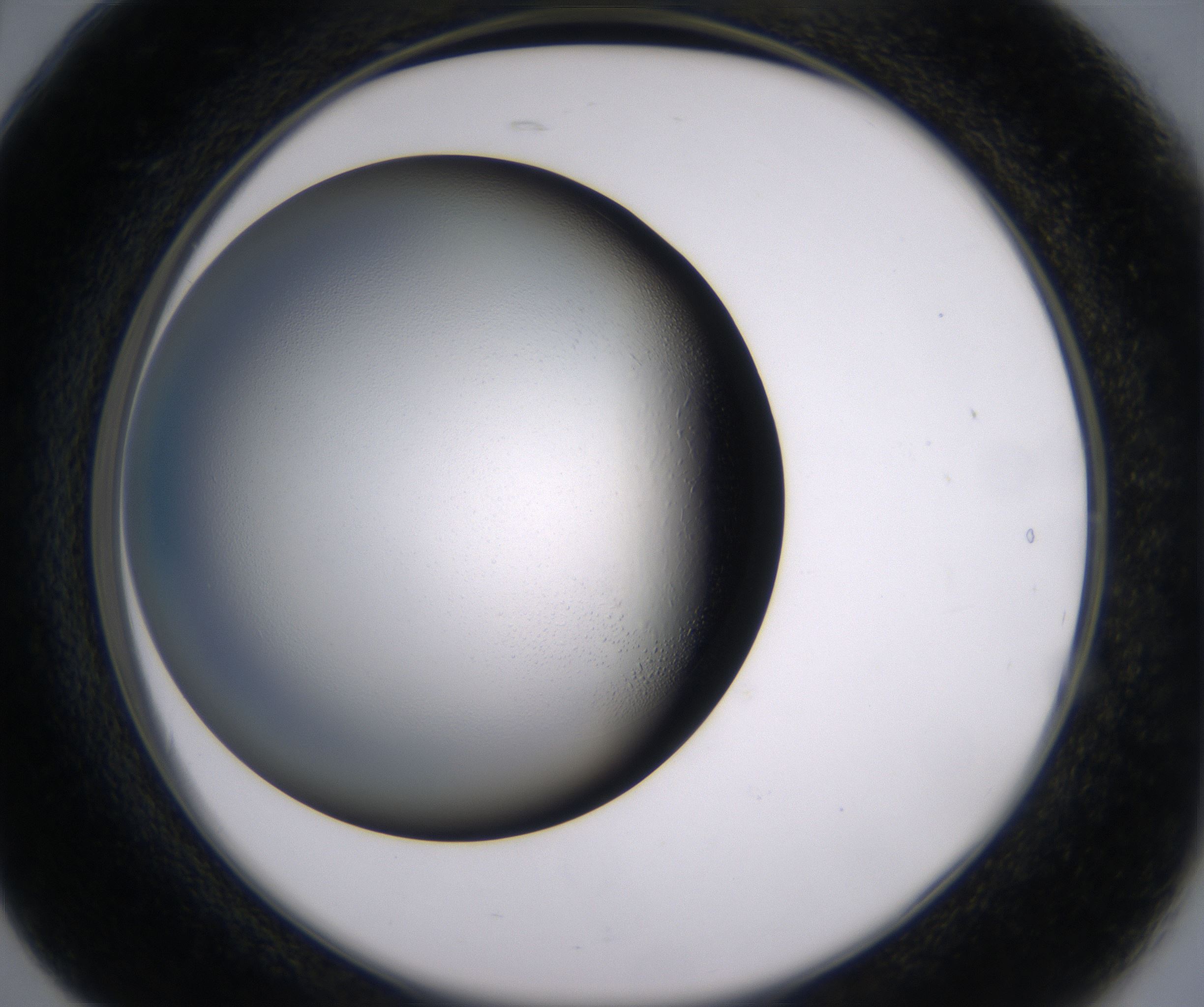 B5_HighResolution_Clear_2.jpg