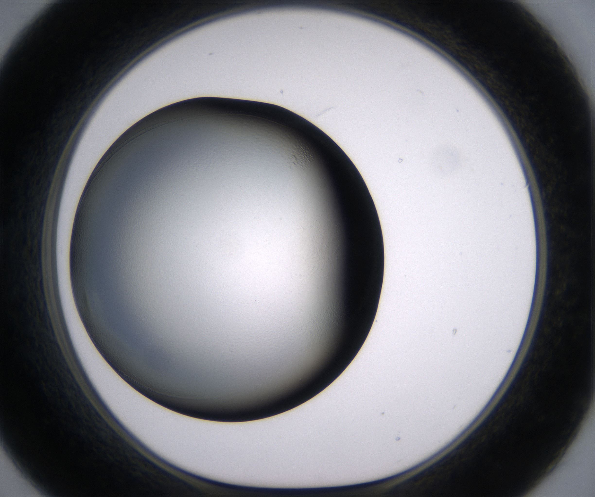 B9_HighResolution_Clear_1.jpg
