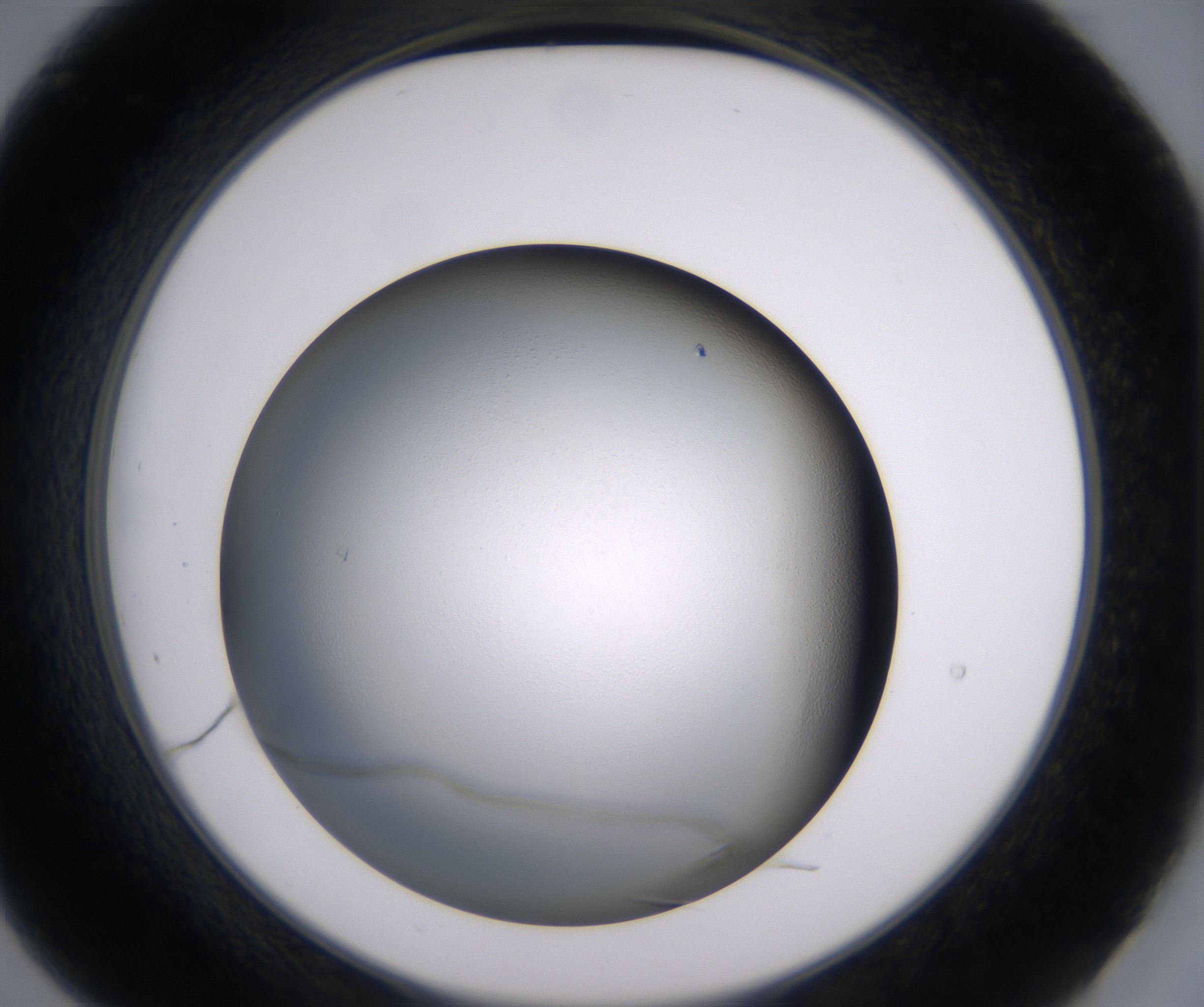 B9_HighResolution_Clear_2.jpg