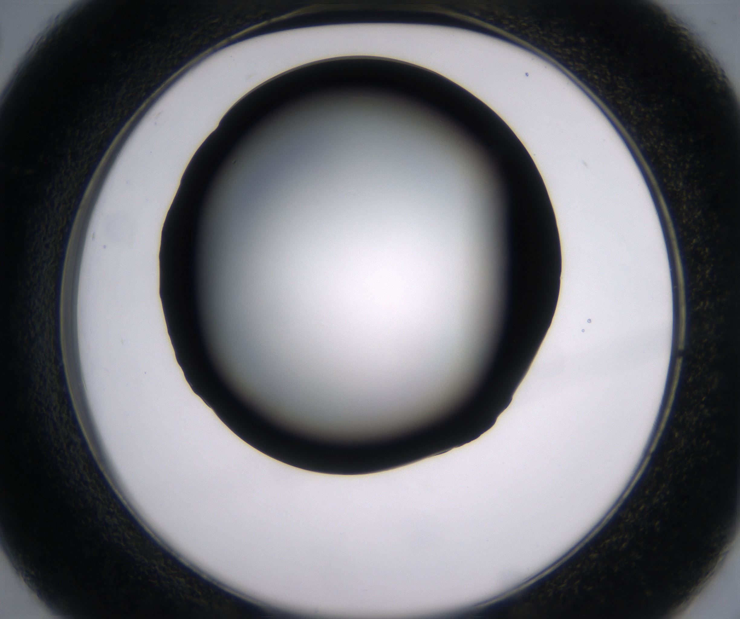 C2_HighResolution_Clear_2.jpg