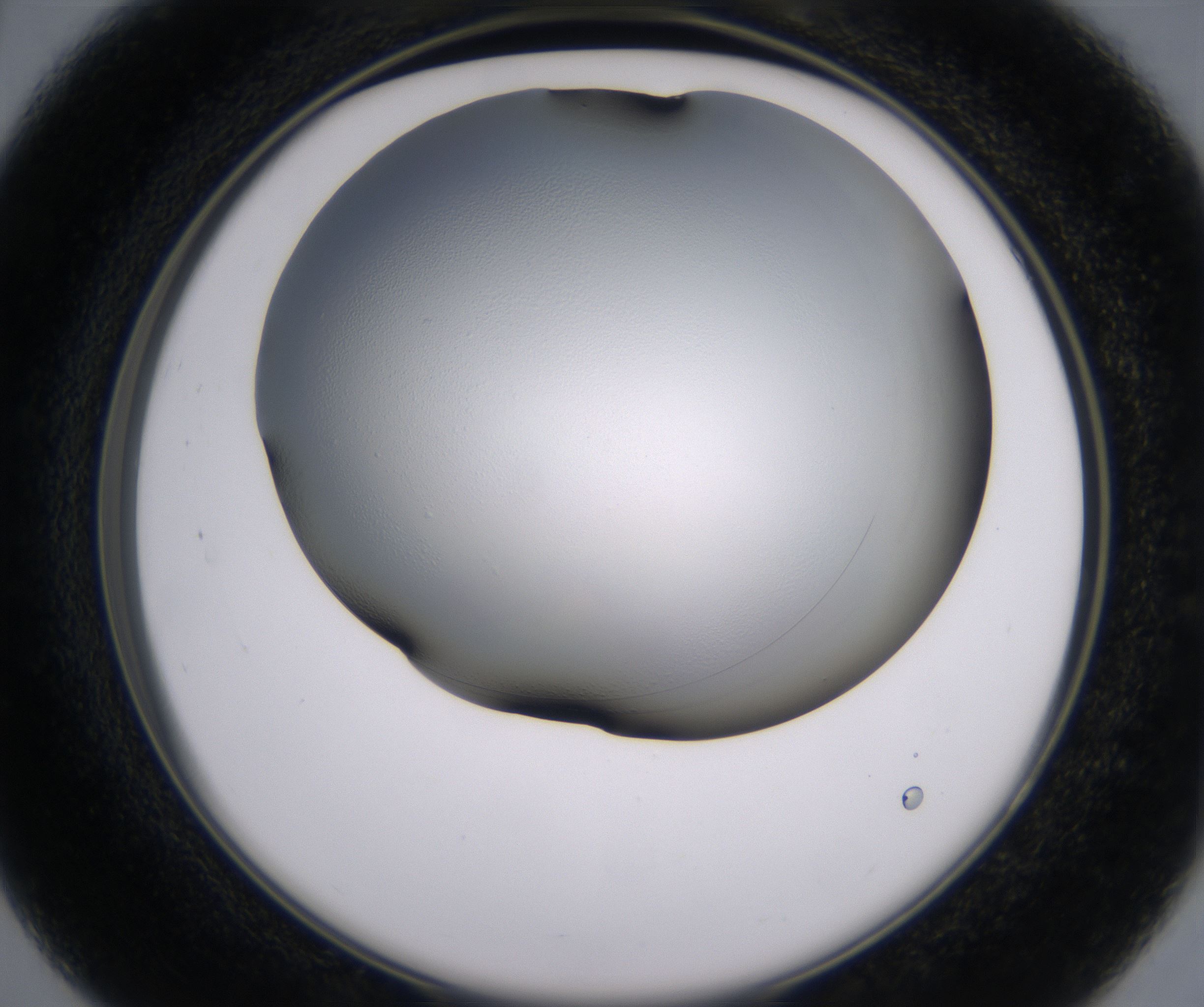 C3_HighResolution_Clear_2.jpg