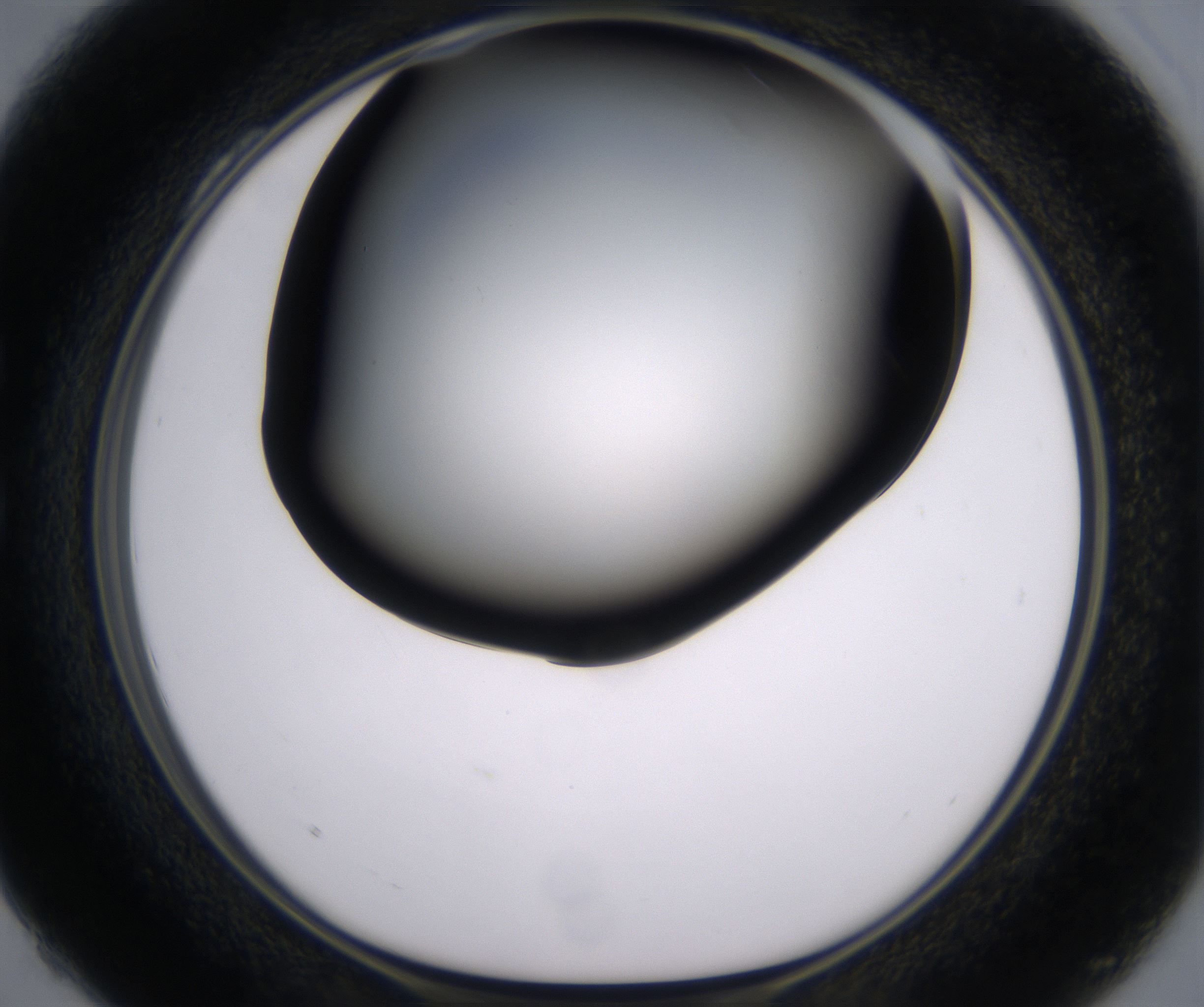 C4_HighResolution_Clear_1.jpg