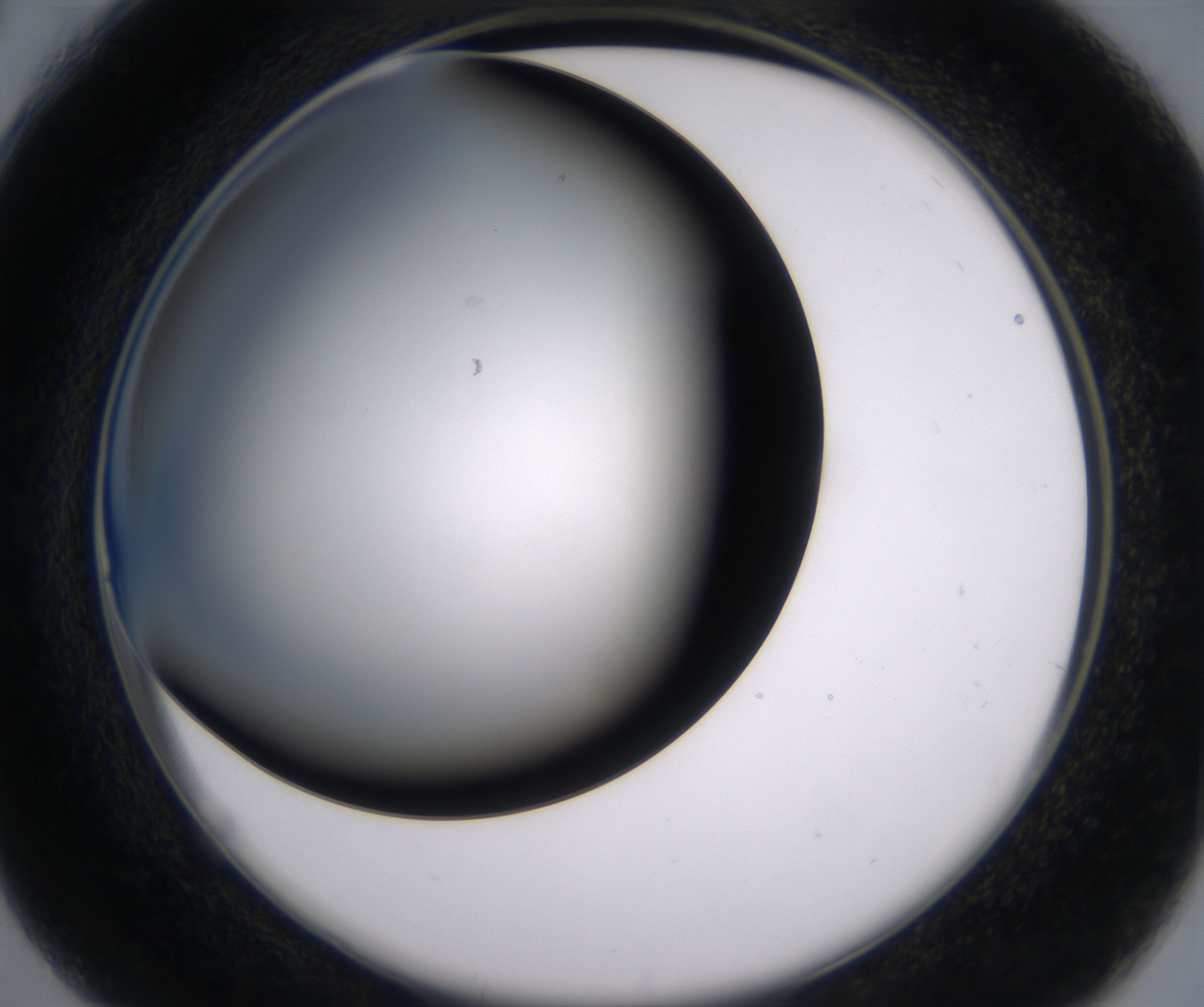 C4_HighResolution_Clear_2.jpg