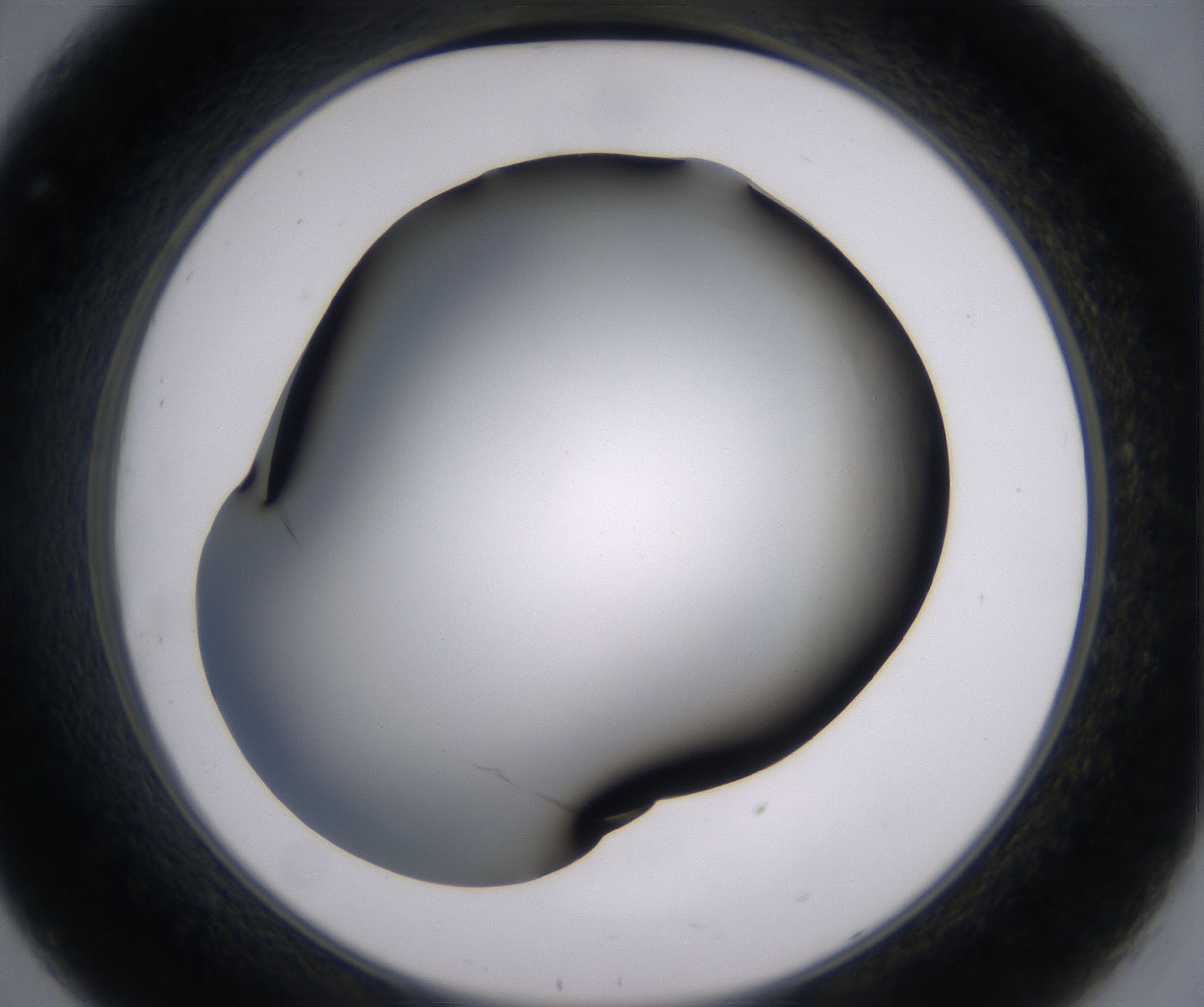 C8_HighResolution_Clear_2.jpg
