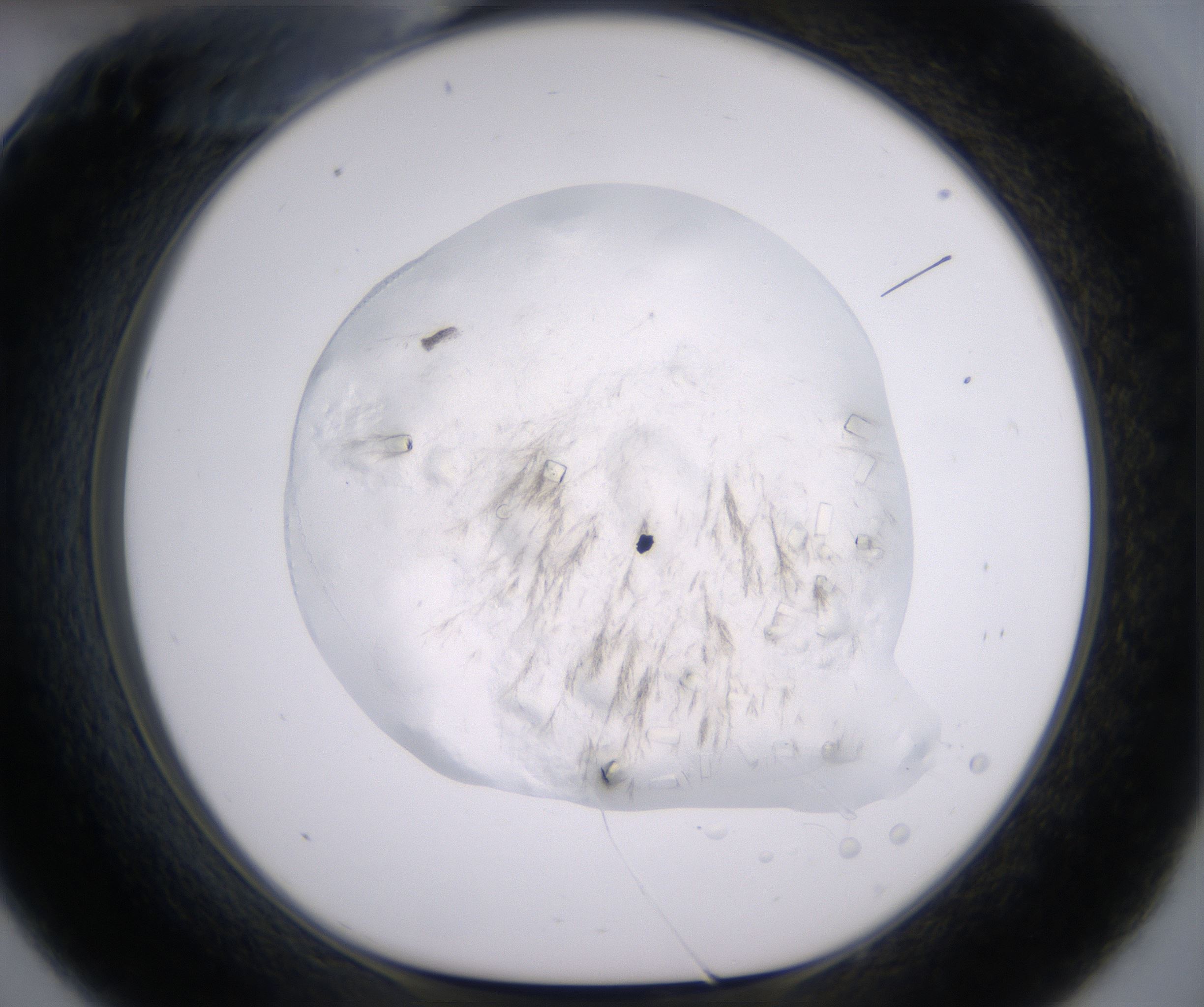 C9_HighResolution_Crystal_1.jpg