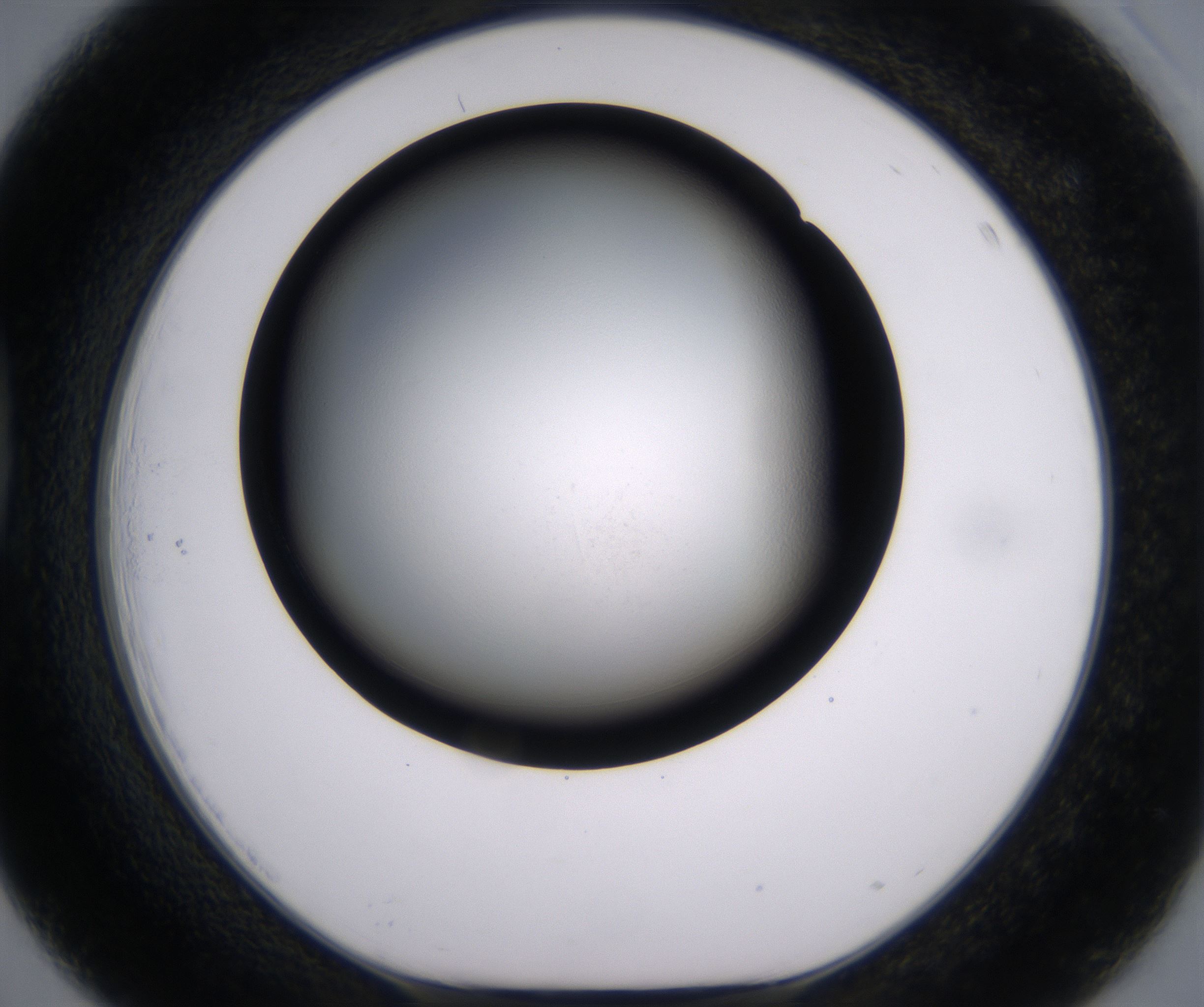 D3_HighResolution_Clear_1.jpg