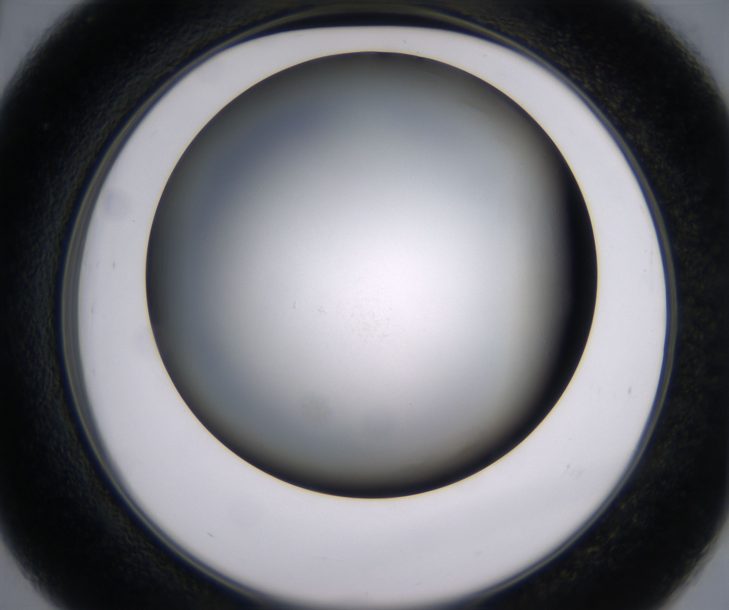 D3_HighResolution_Clear_2.jpg