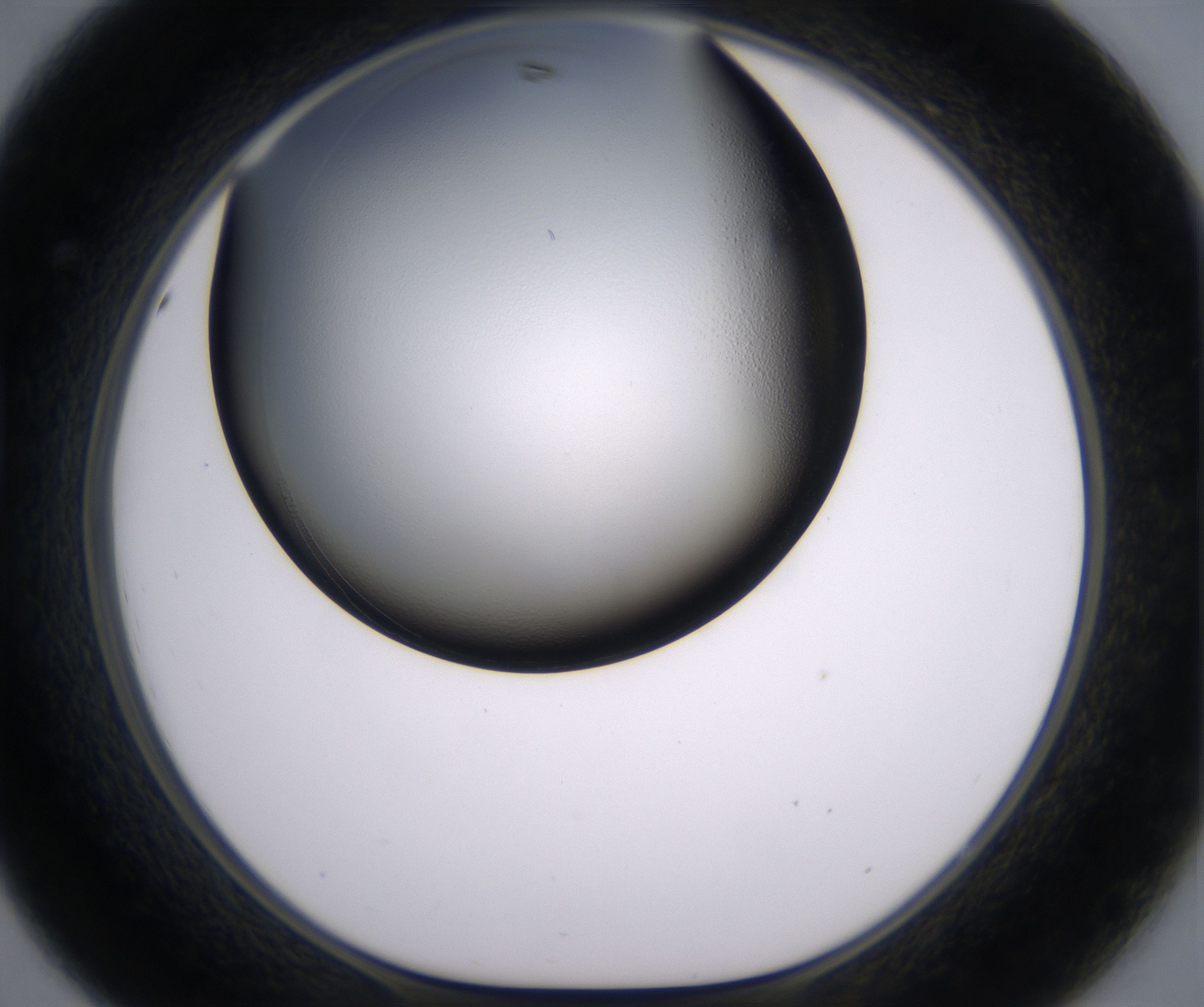 D8_HighResolution_Clear_1.jpg