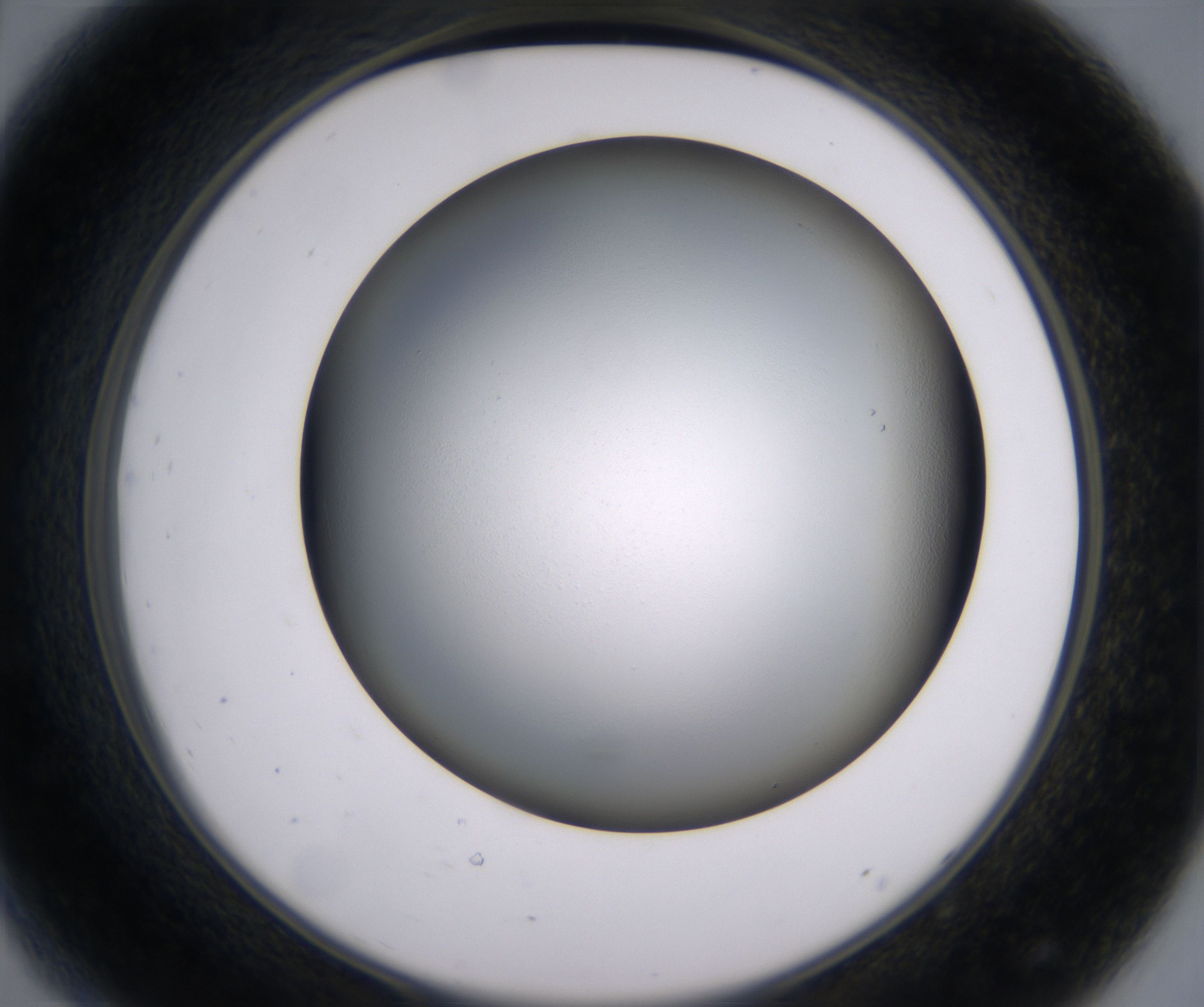 D8_HighResolution_Clear_2.jpg