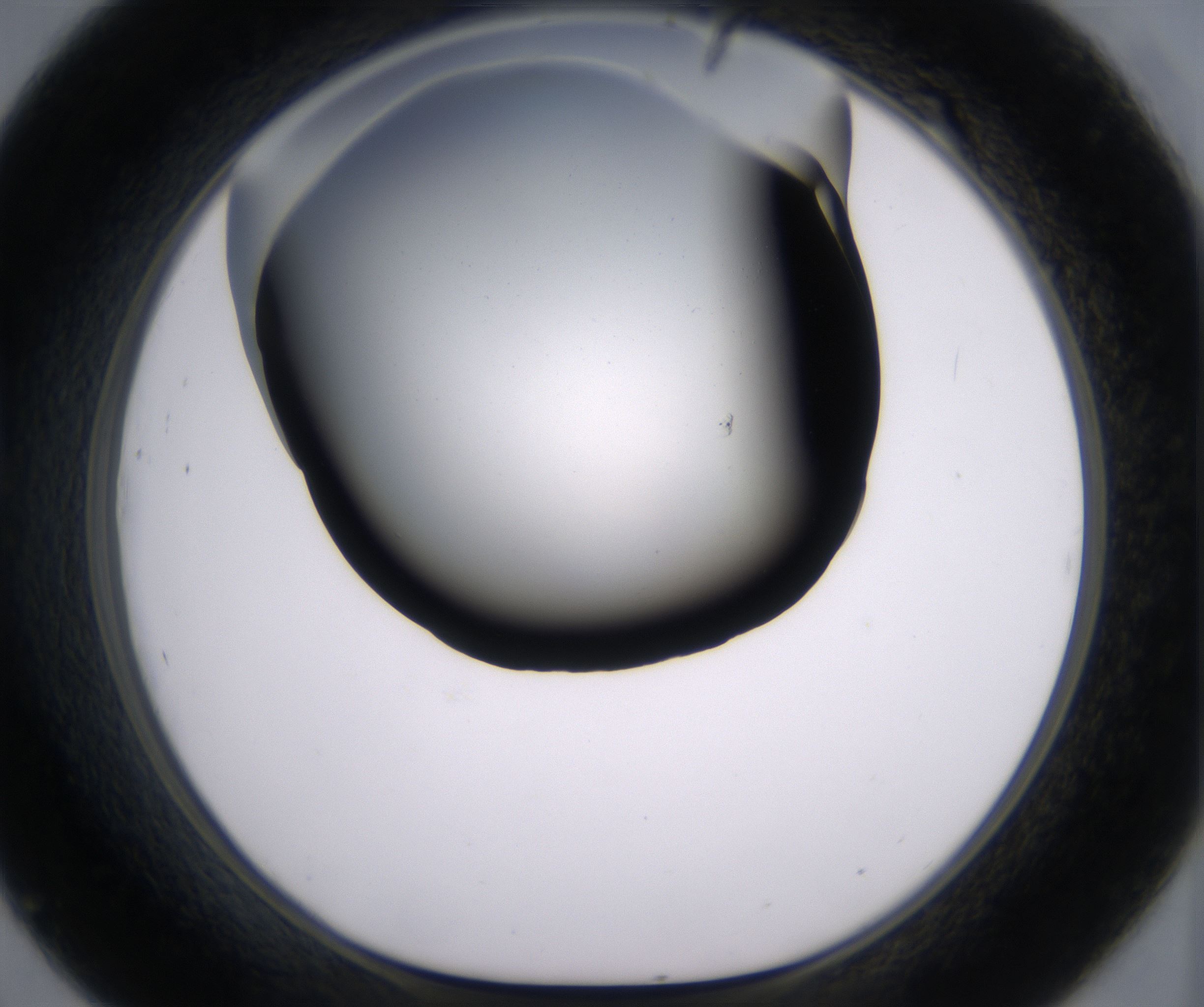 D9_HighResolution_Clear_1.jpg