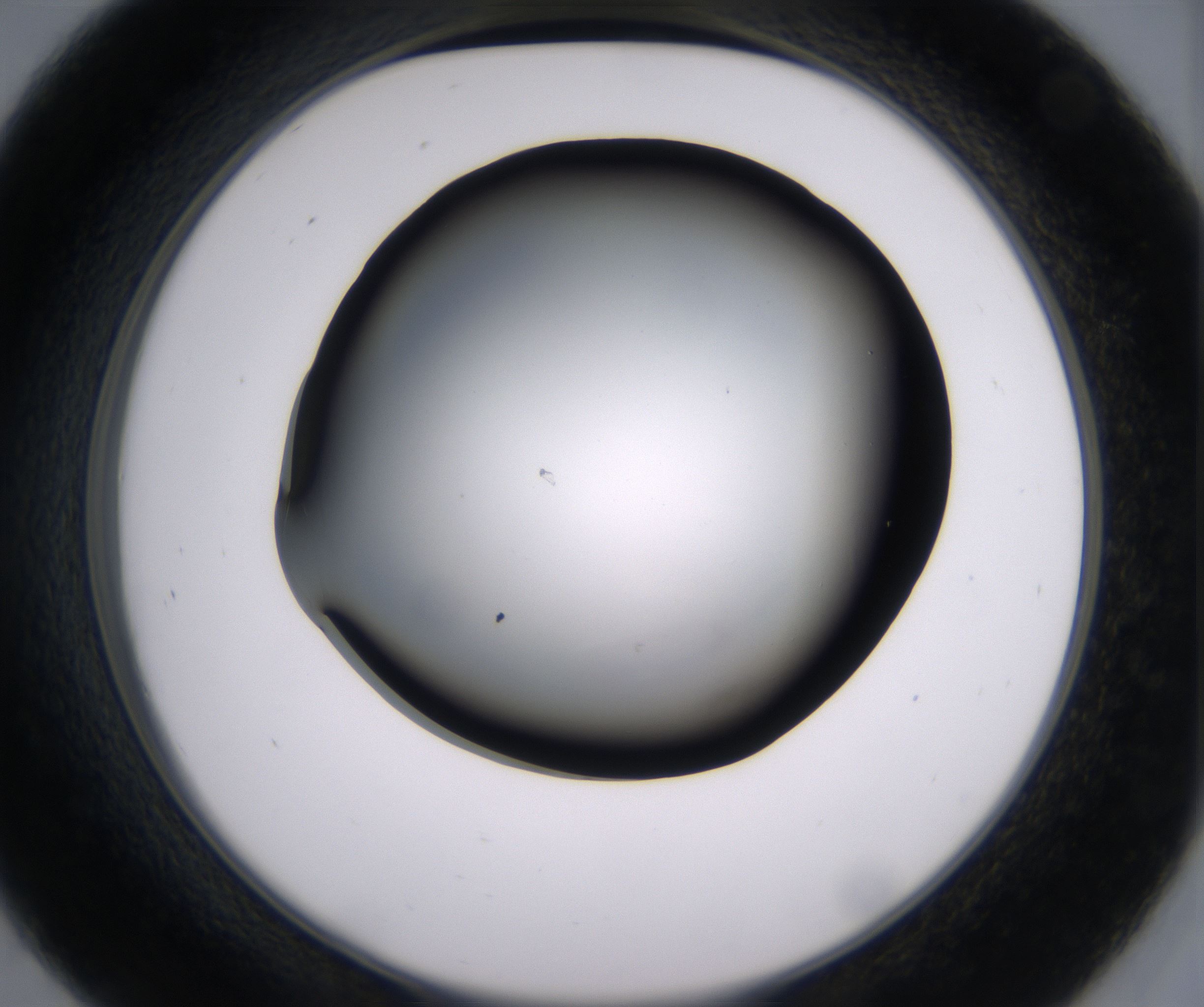 D9_HighResolution_Clear_2.jpg