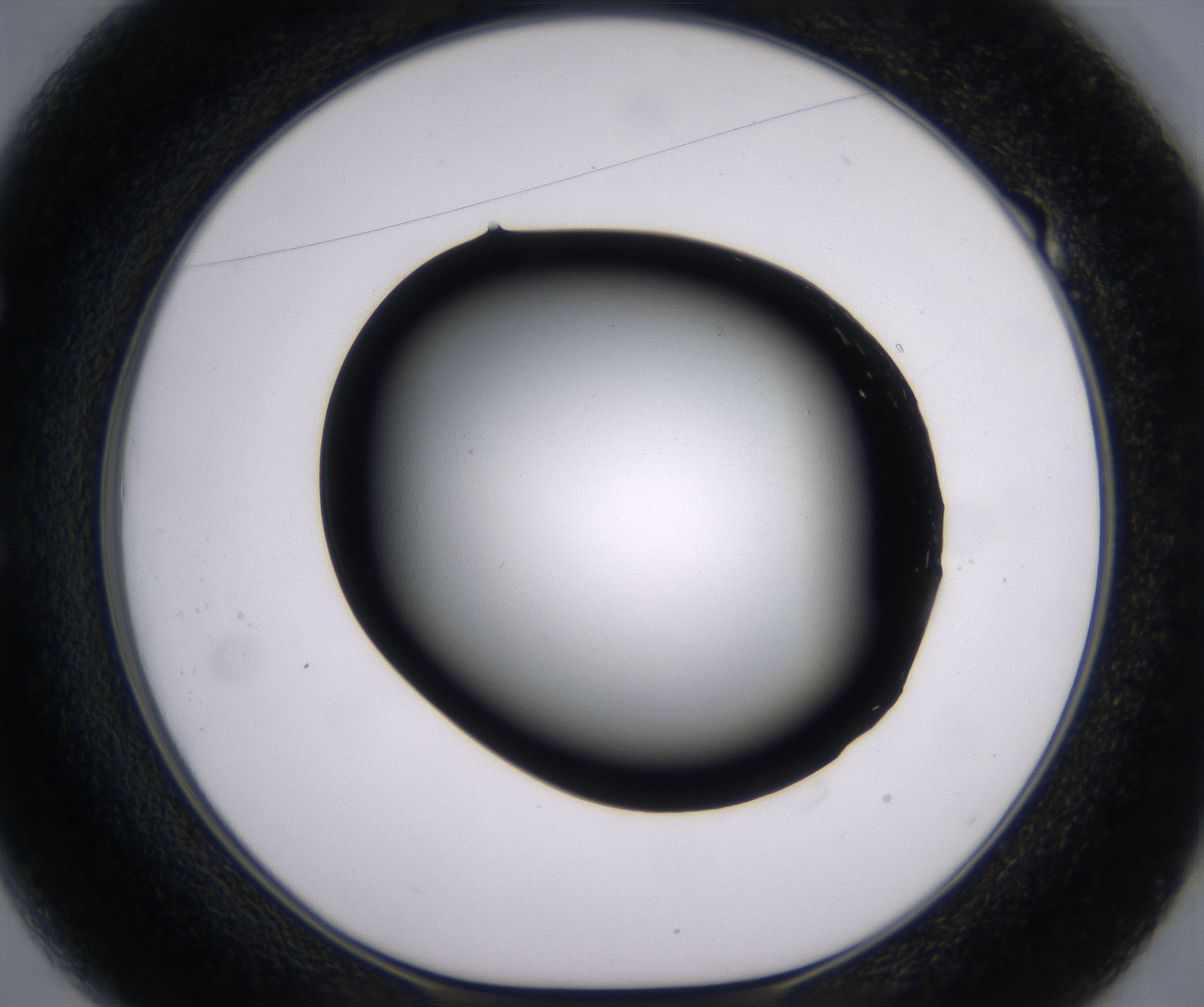 E1_HighResolution_Clear_1.jpg