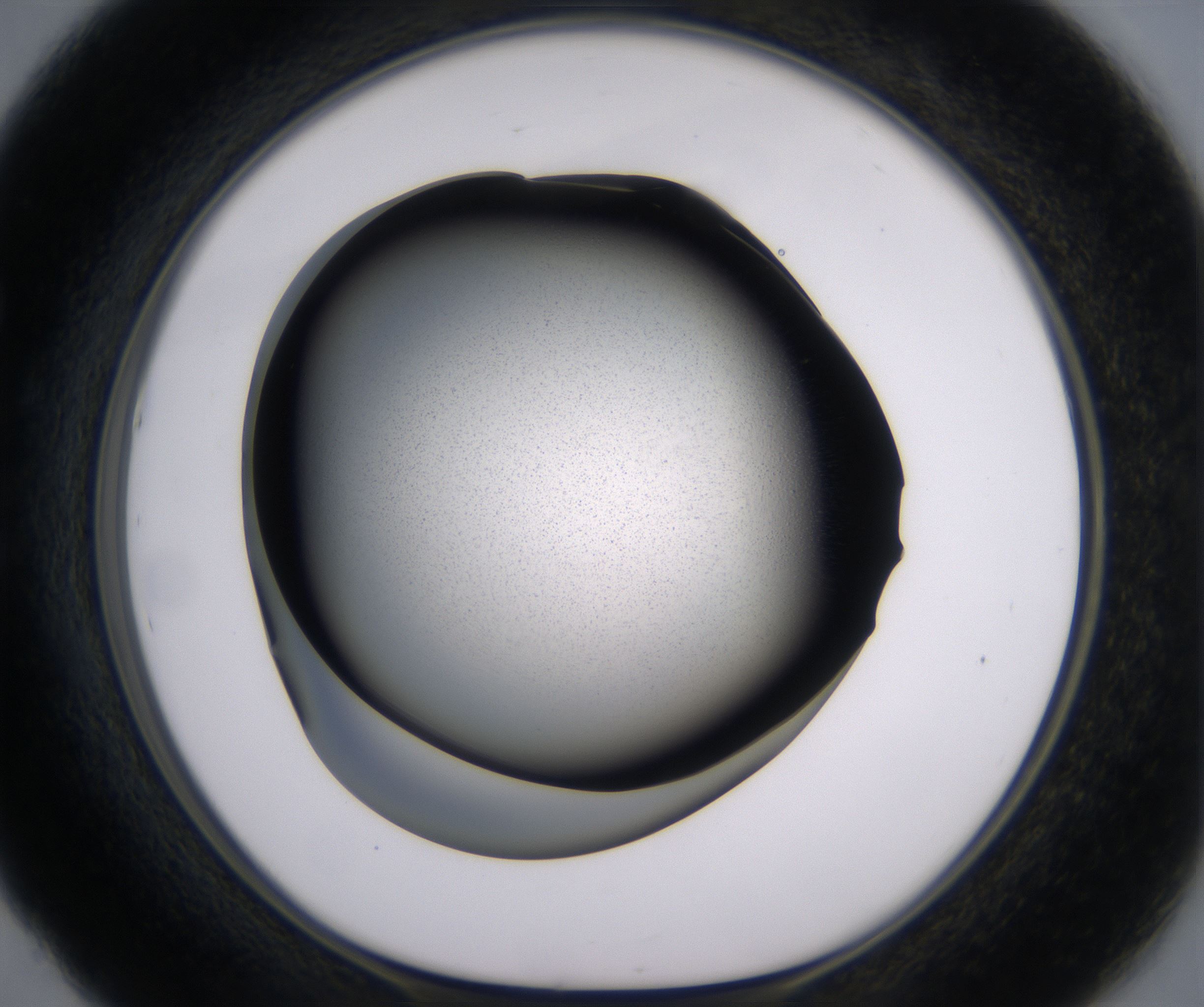 E5_HighResolution_Precipitate_1.jpg