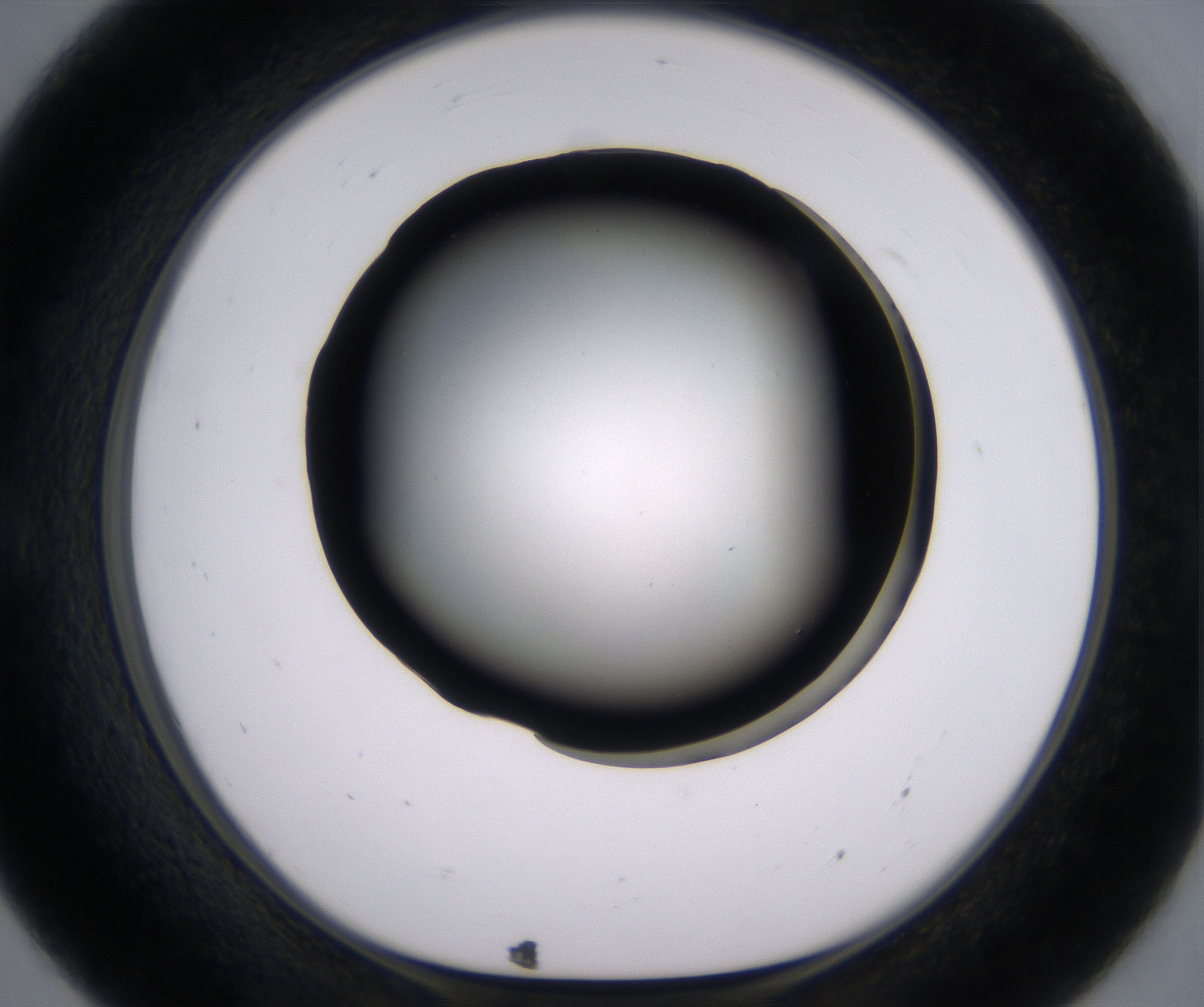 E7_HighResolution_Clear_1.jpg