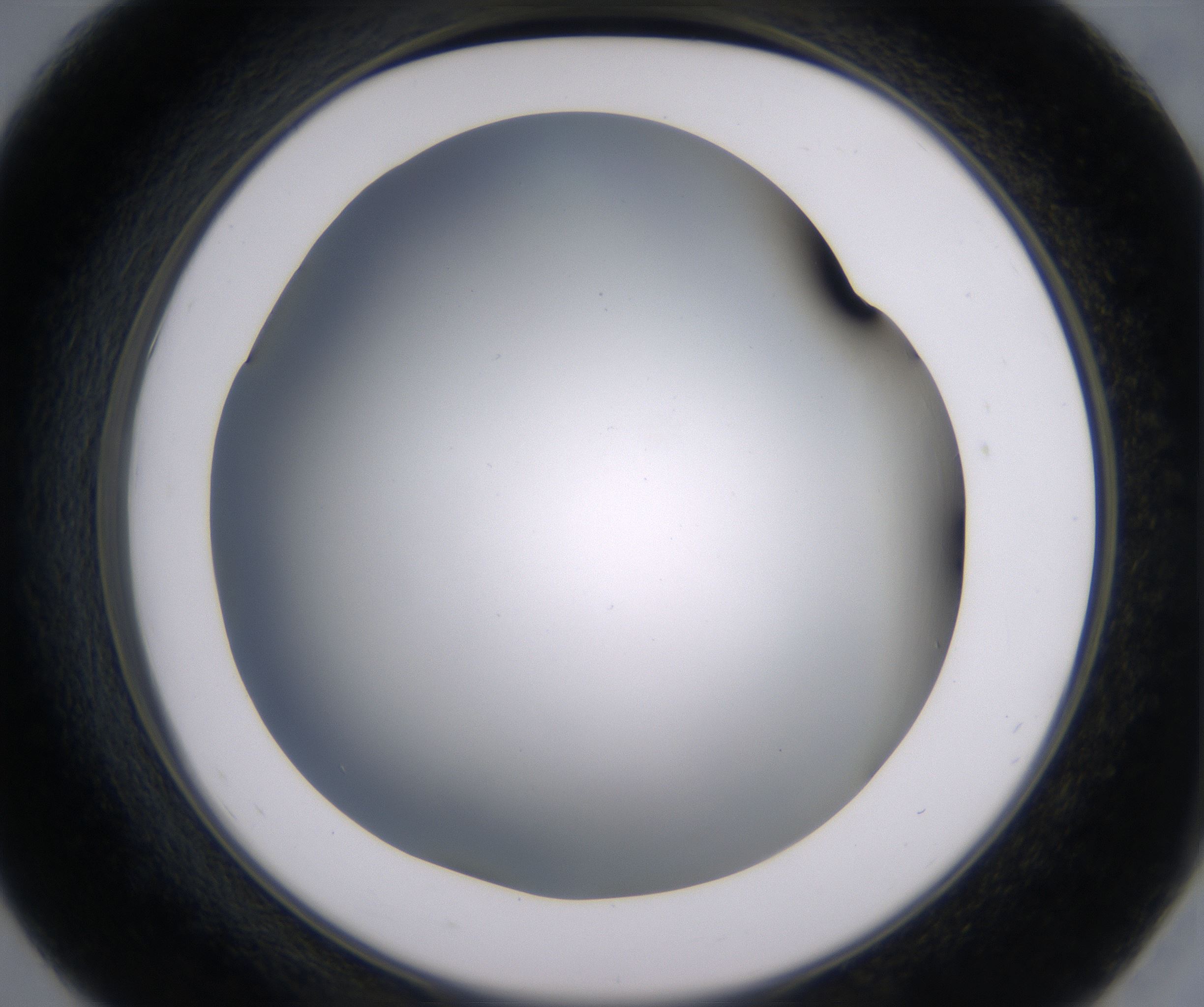 E7_HighResolution_Clear_2.jpg