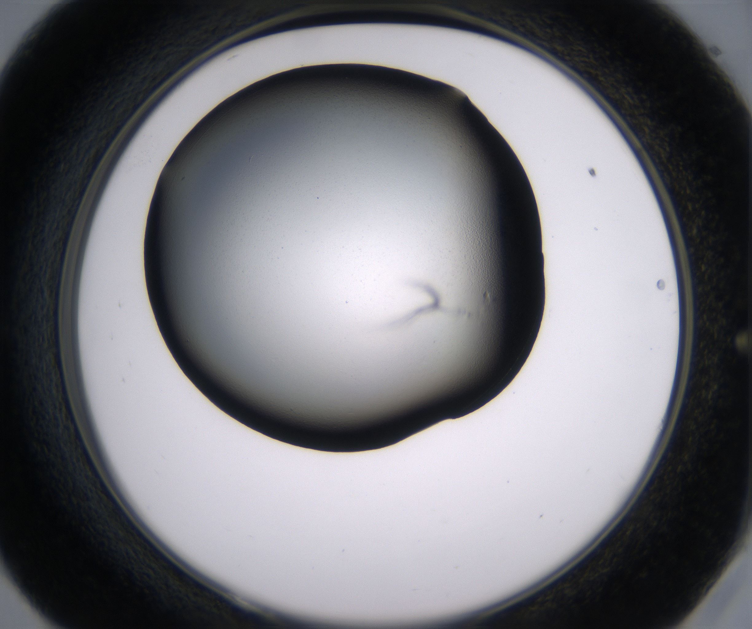 E9_HighResolution_Clear_2.jpg