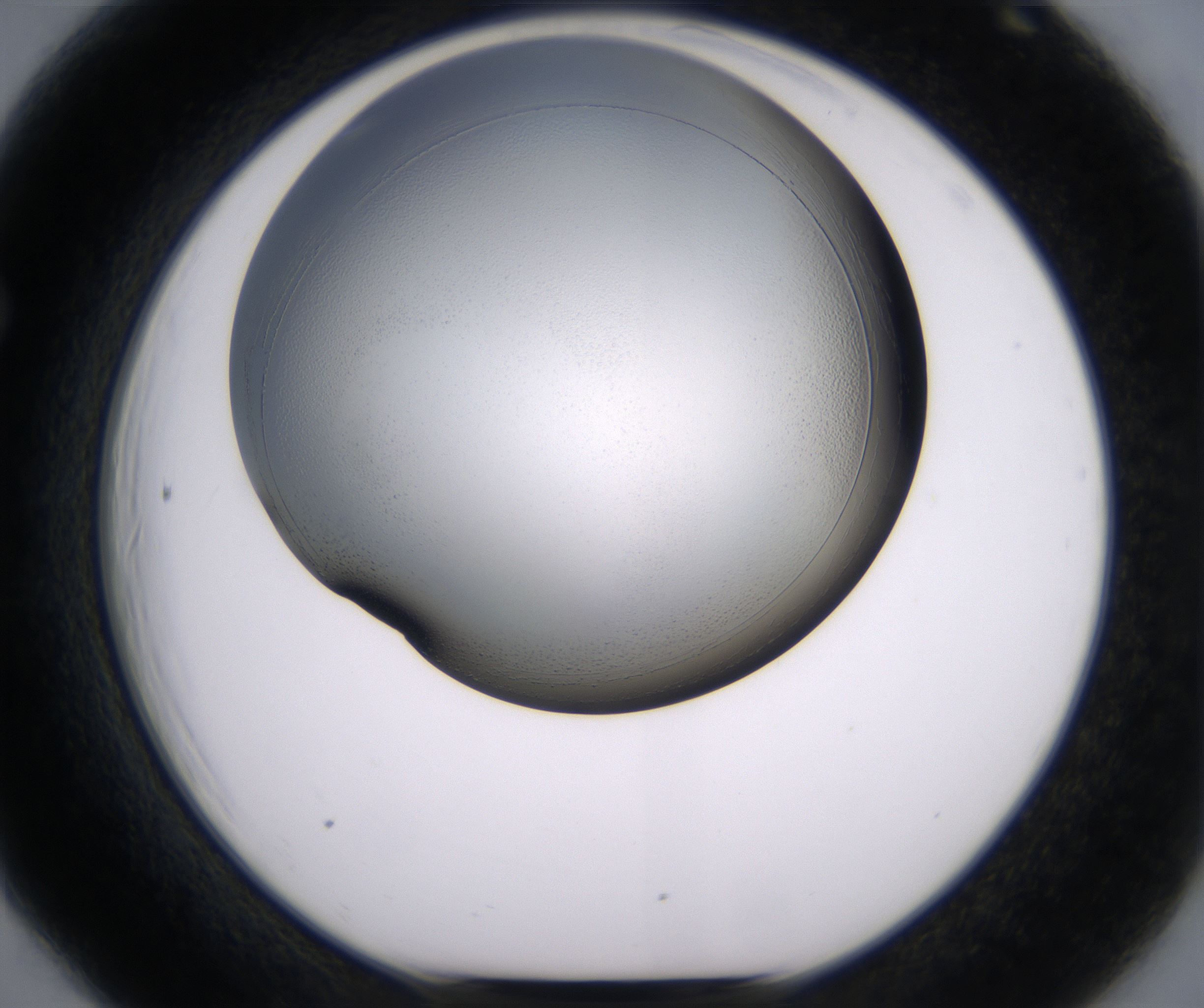 F6_HighResolution_Clear_1.jpg