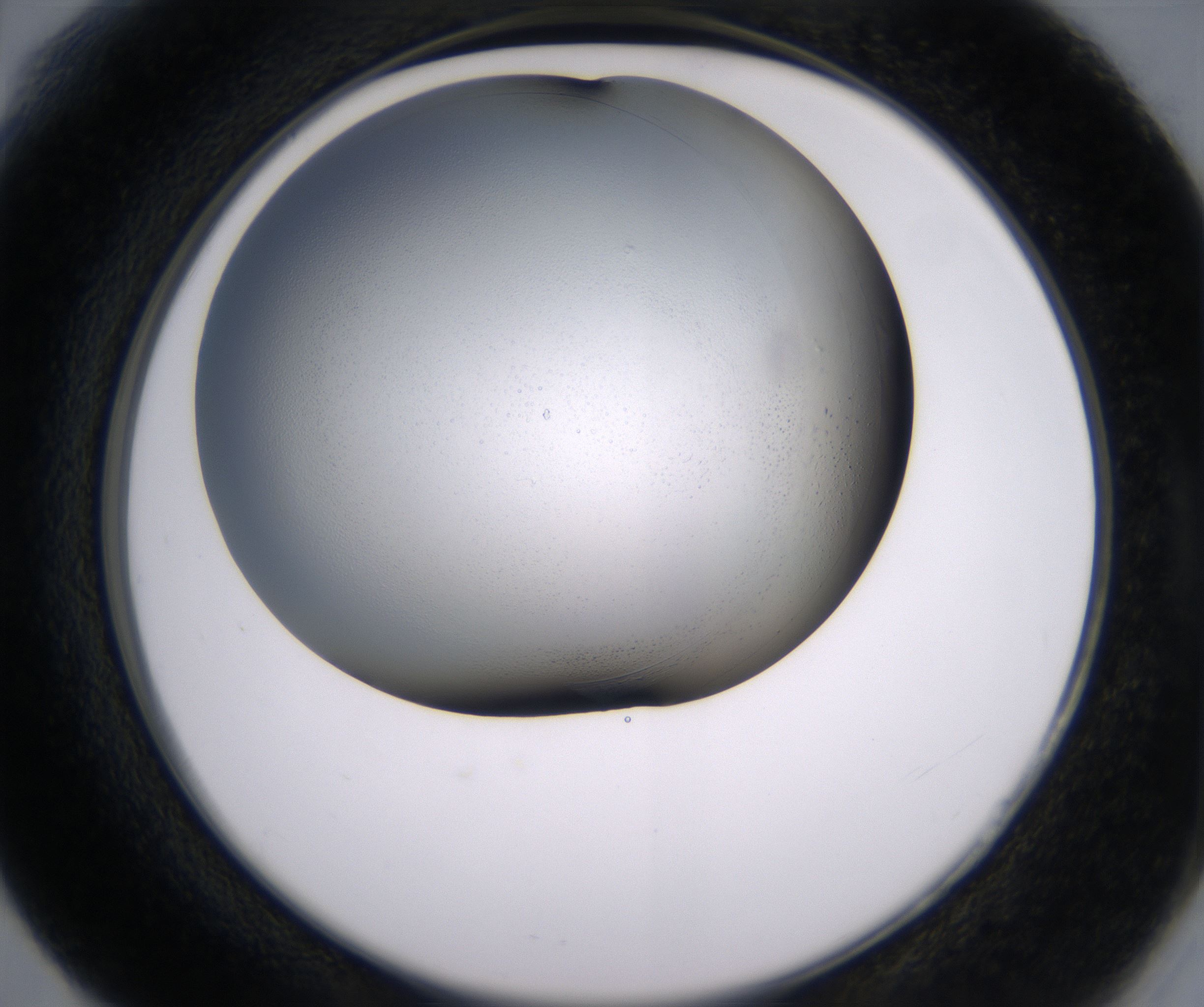 F6_HighResolution_Clear_2.jpg