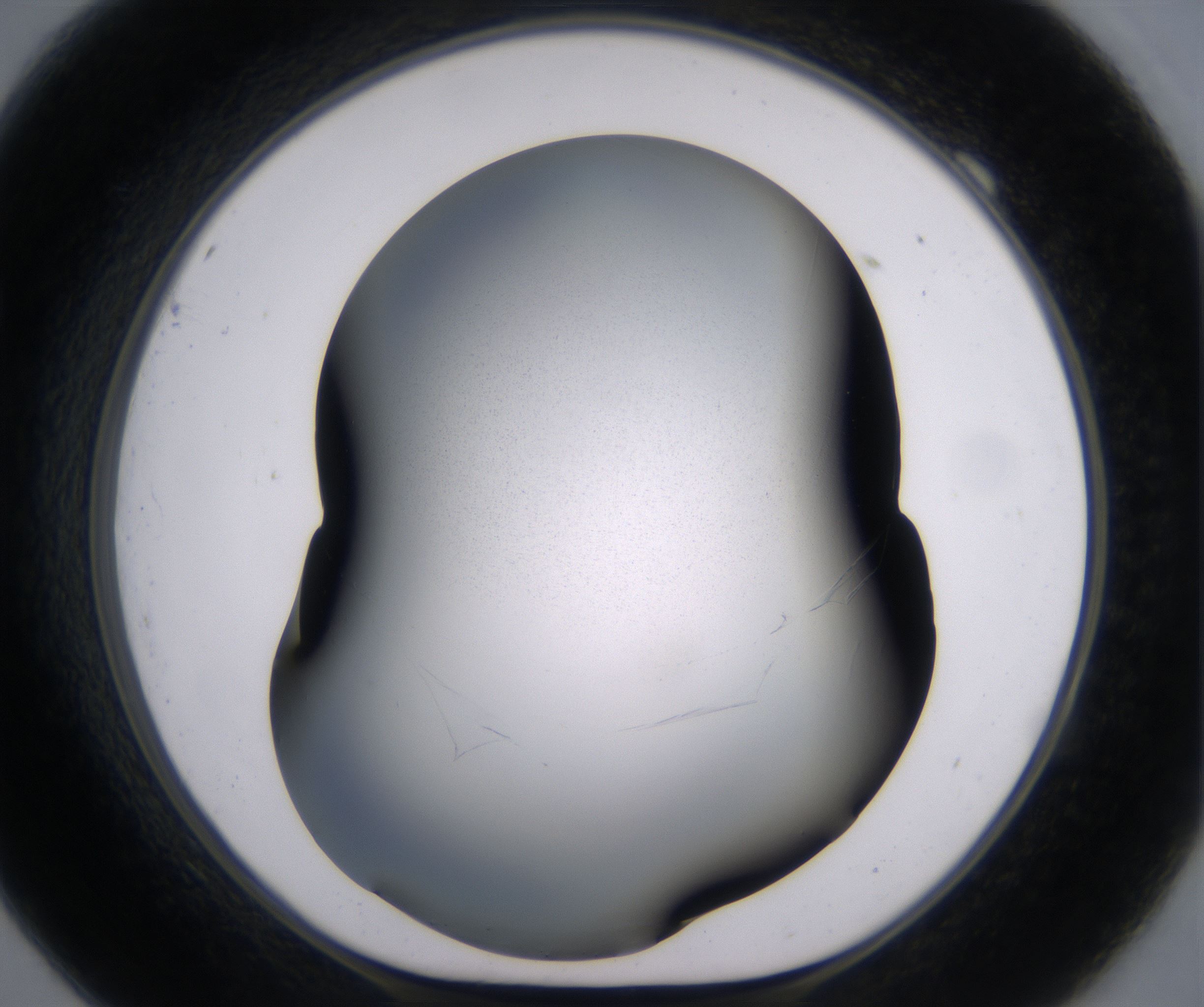 F9_HighResolution_Clear_1.jpg