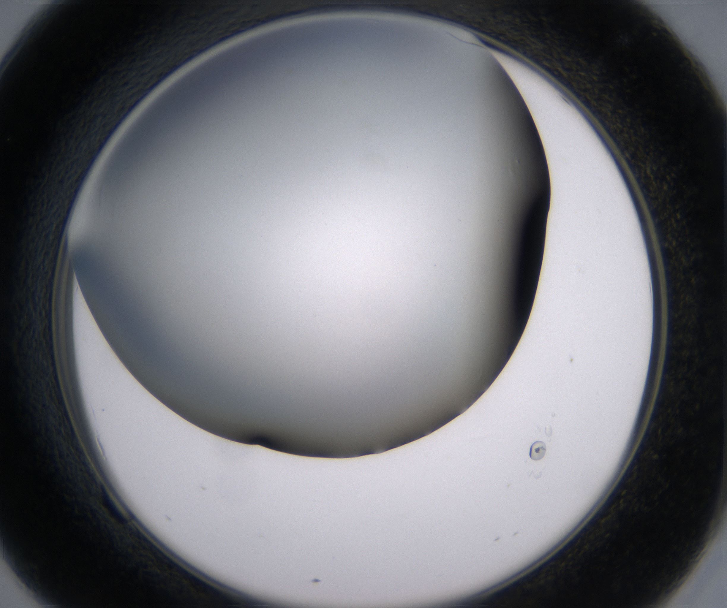 F9_HighResolution_Clear_2.jpg