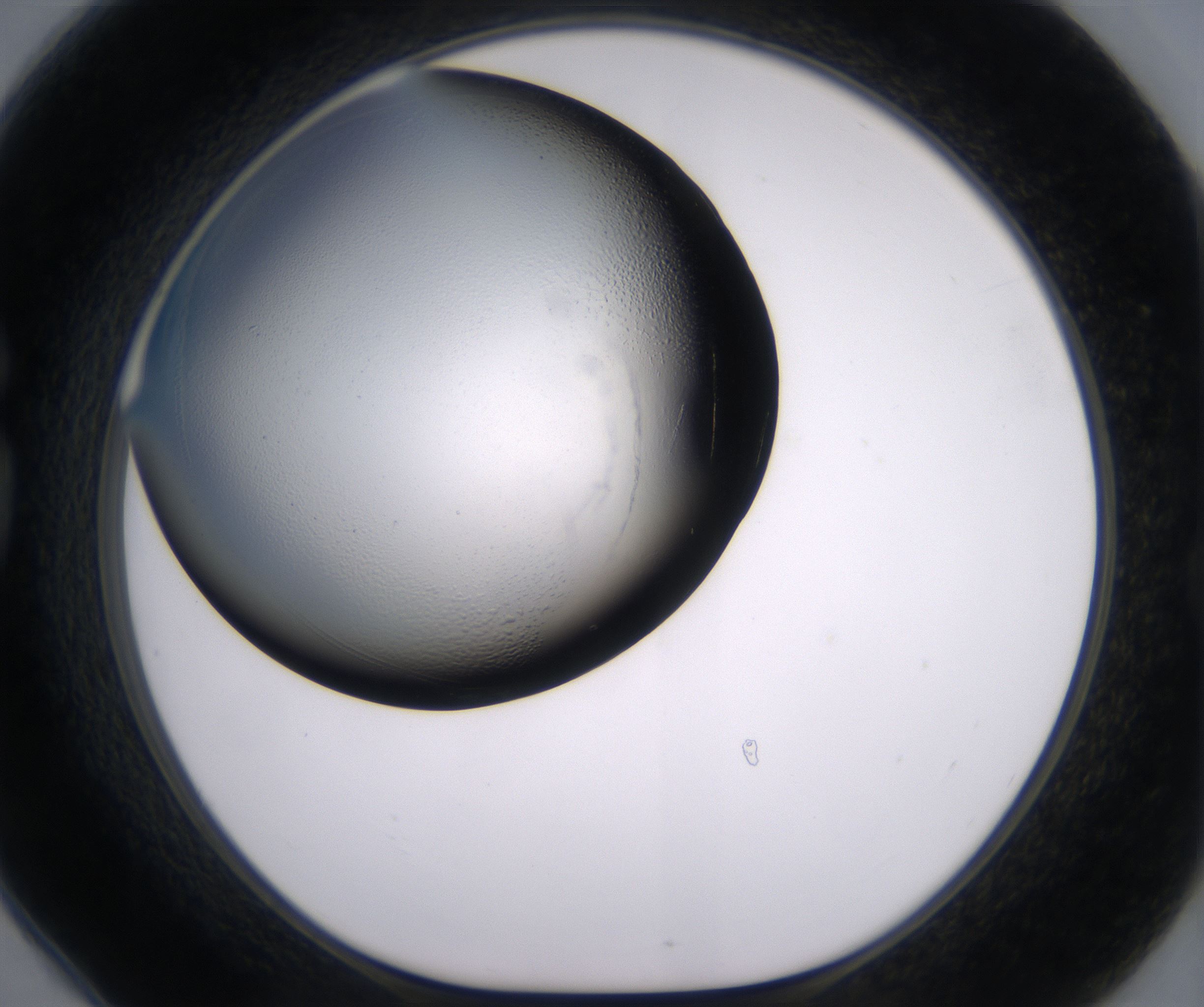 G6_HighResolution_Clear_1.jpg