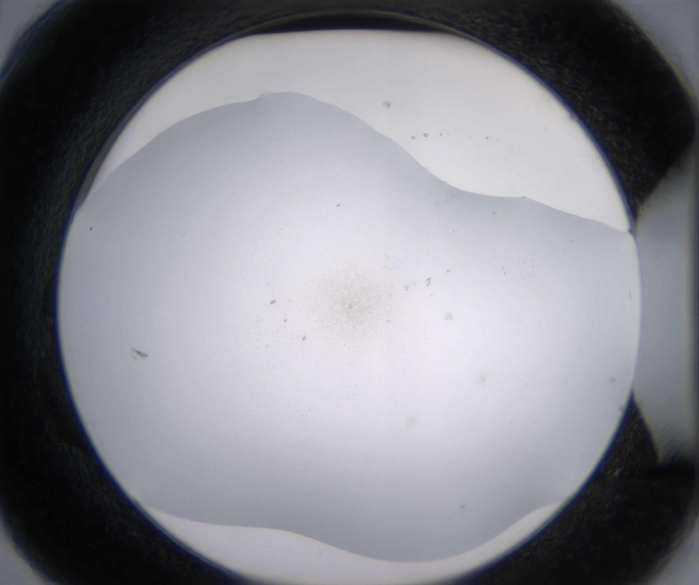 G6_HighResolution_Precipitate_2.jpg