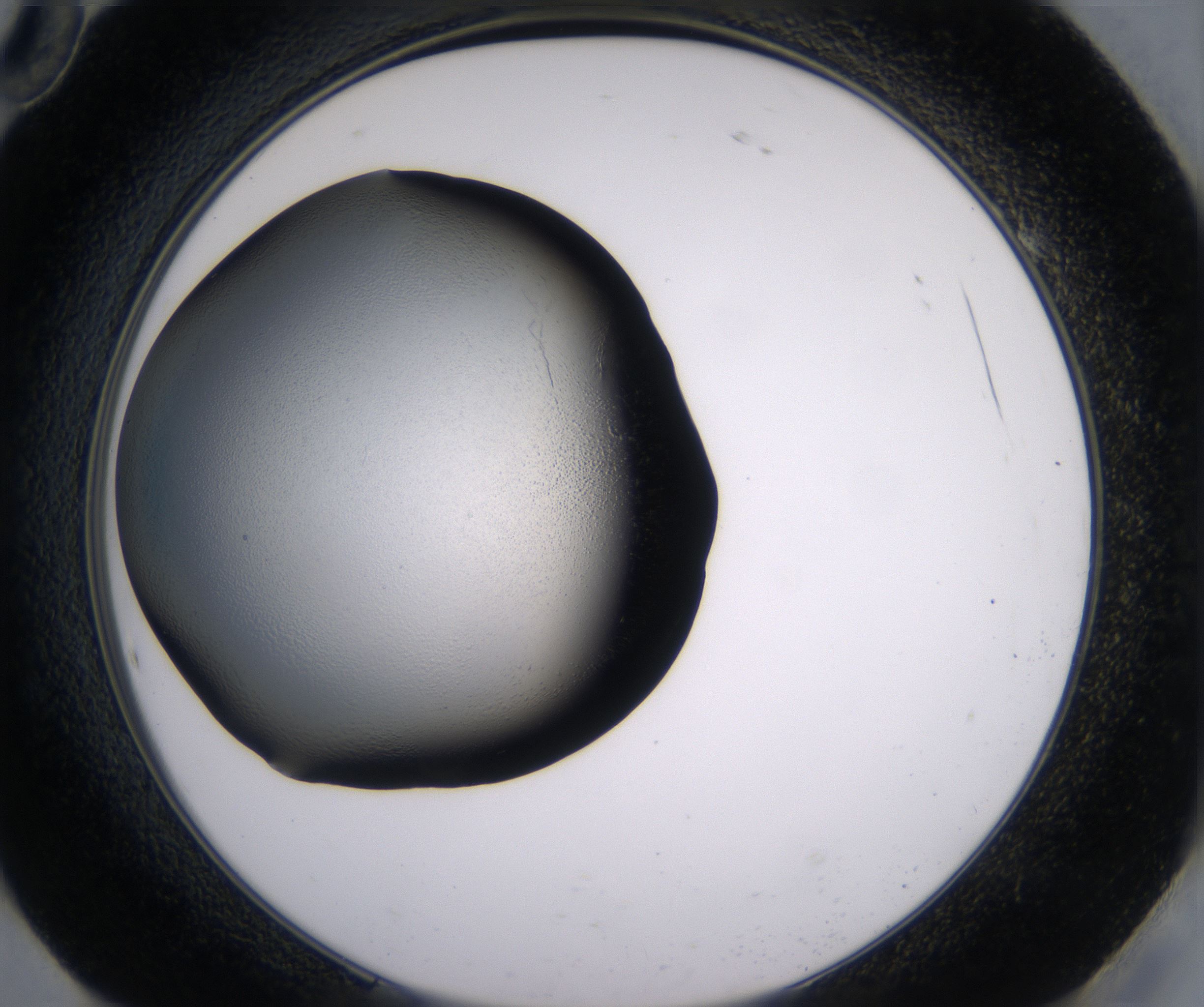 H10_HighResolution_Clear_2.jpg