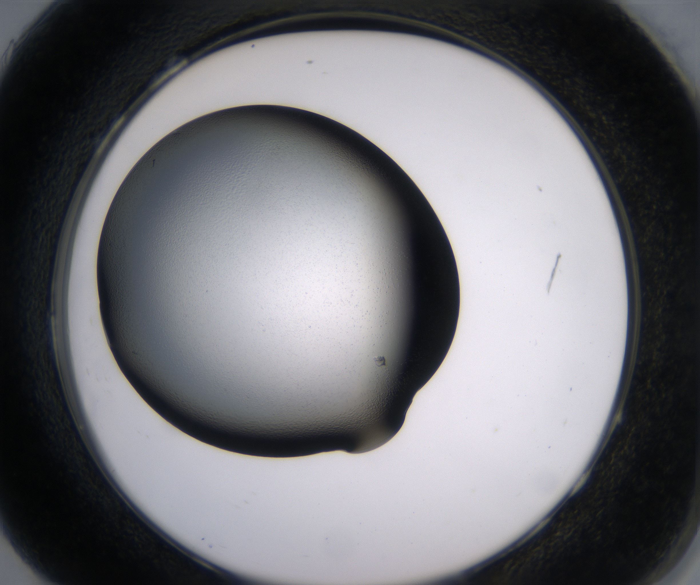 H7_HighResolution_Clear_2.jpg