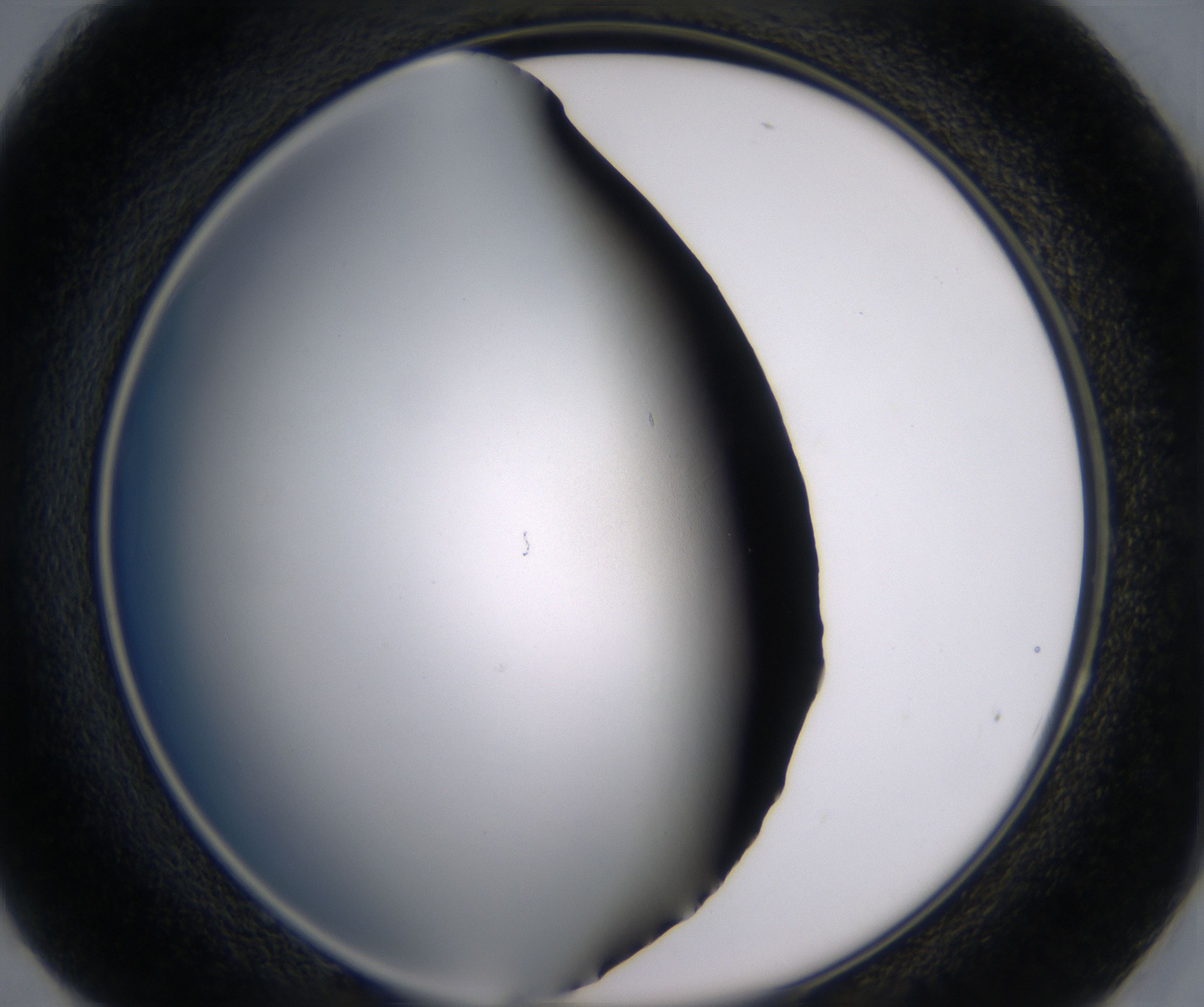 H8_HighResolution_Clear_2.jpg