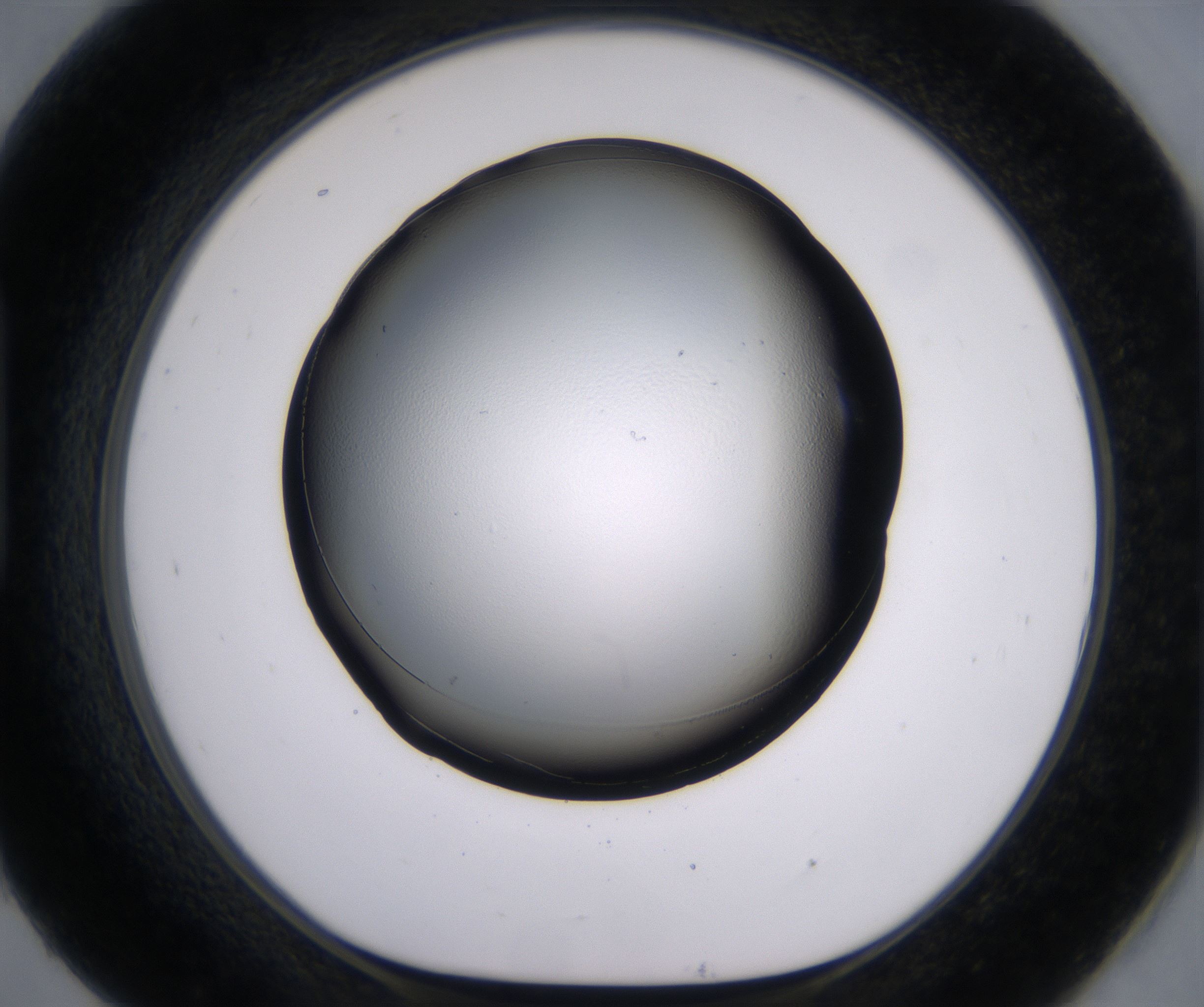 H9_HighResolution_Clear_1.jpg