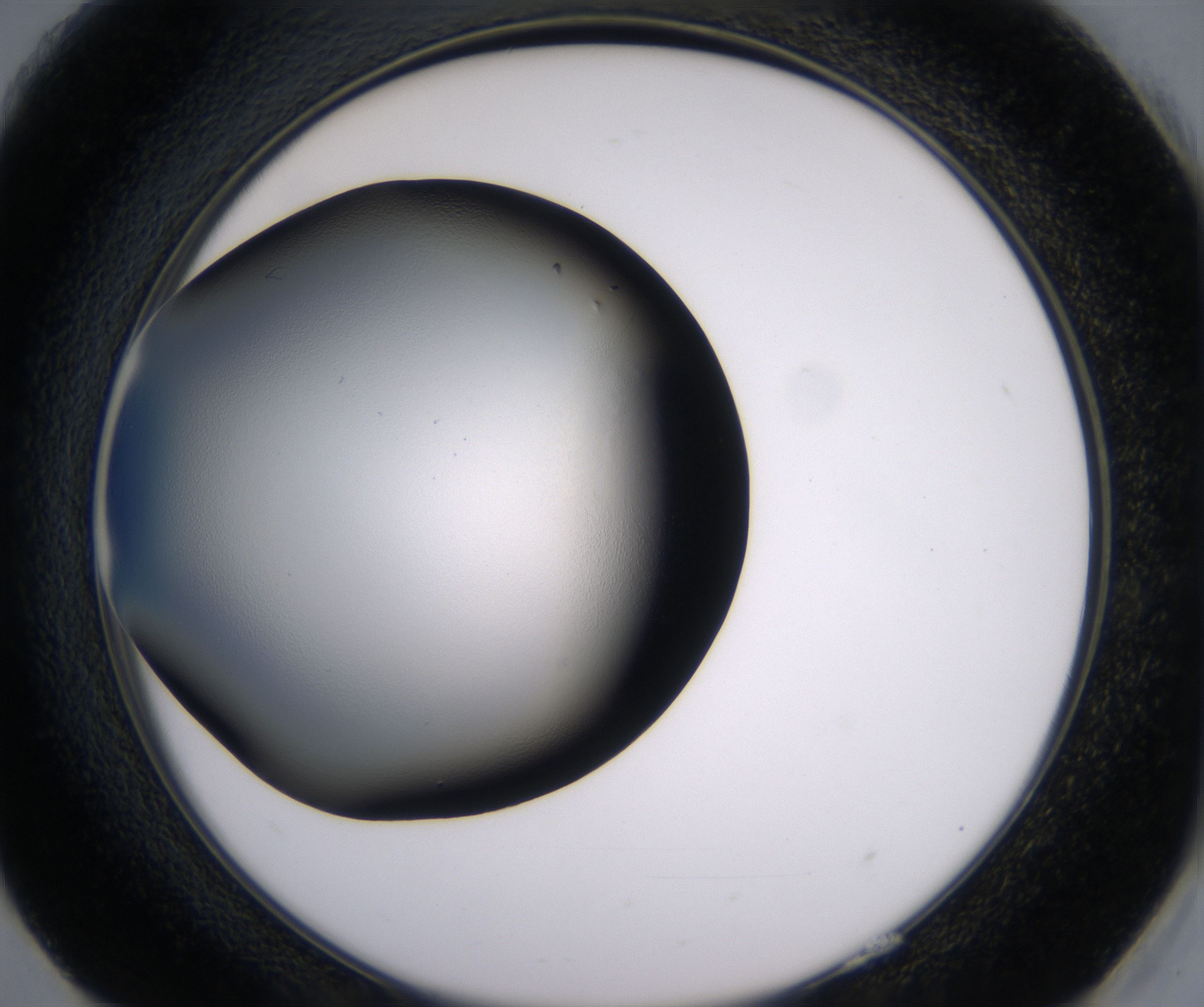 H9_HighResolution_Clear_2.jpg