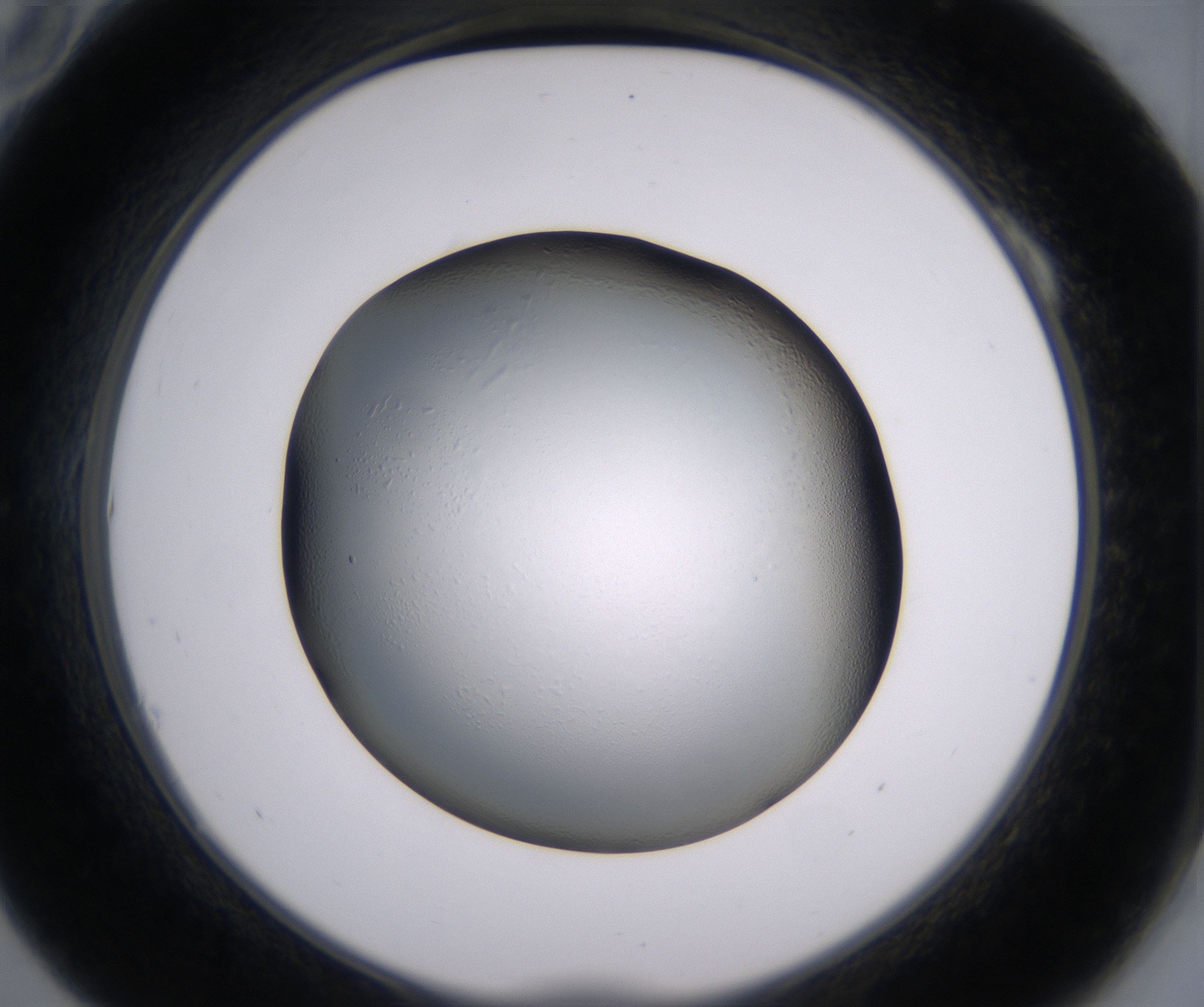 A10_HighResolution_Clear_2.jpg