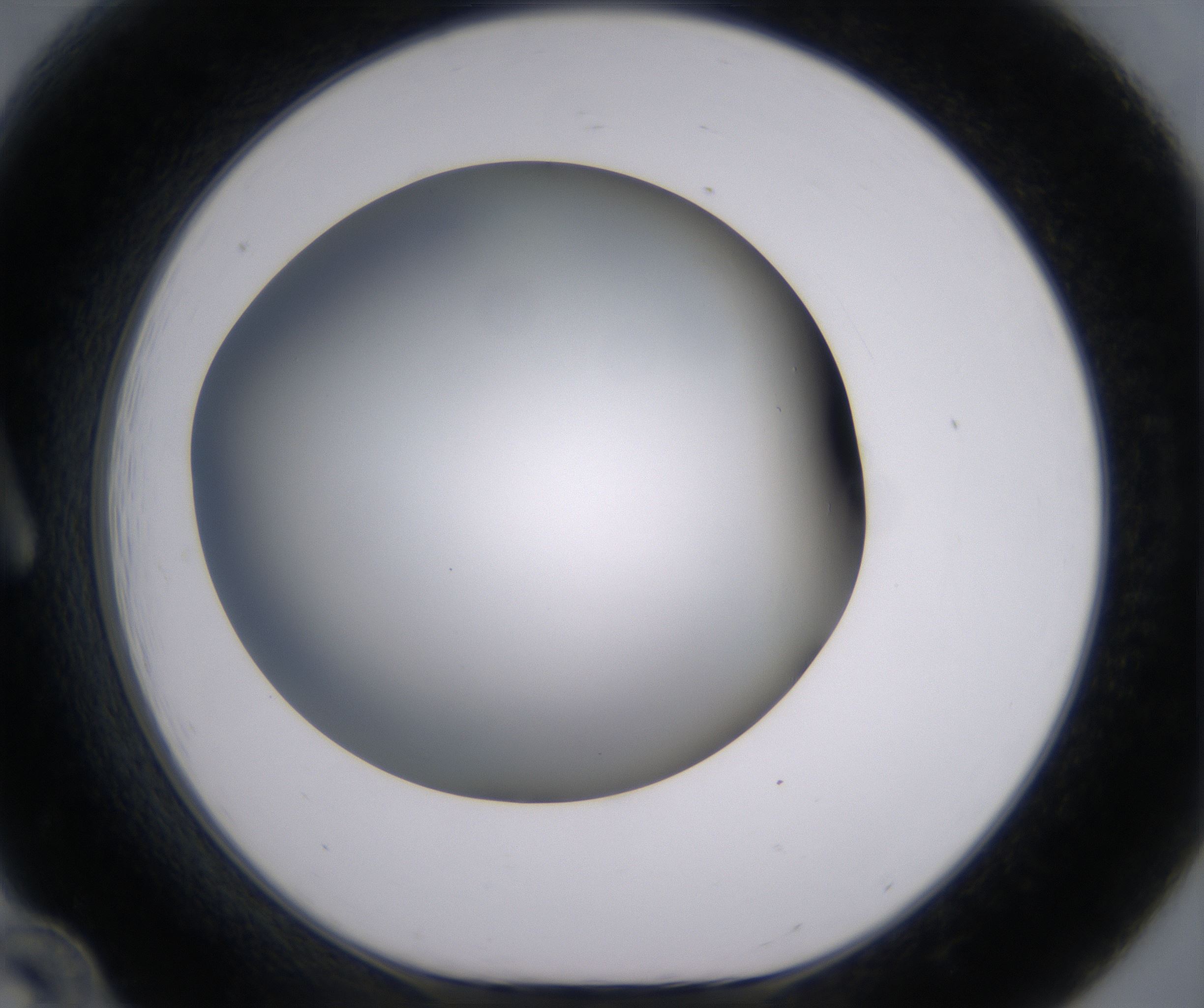 A12_HighResolution_Clear_1.jpg