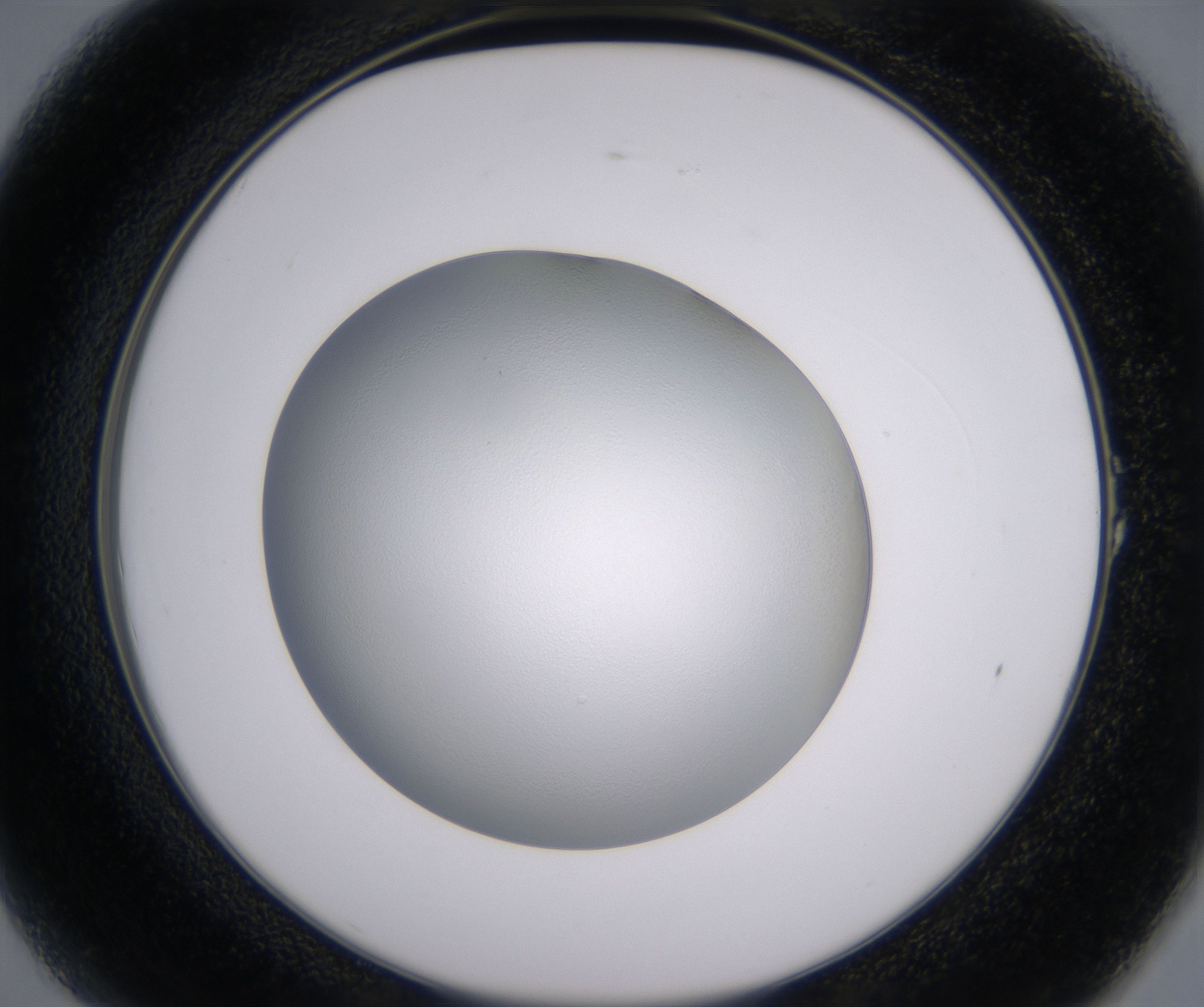 A1_HighResolution_Clear_2.jpg