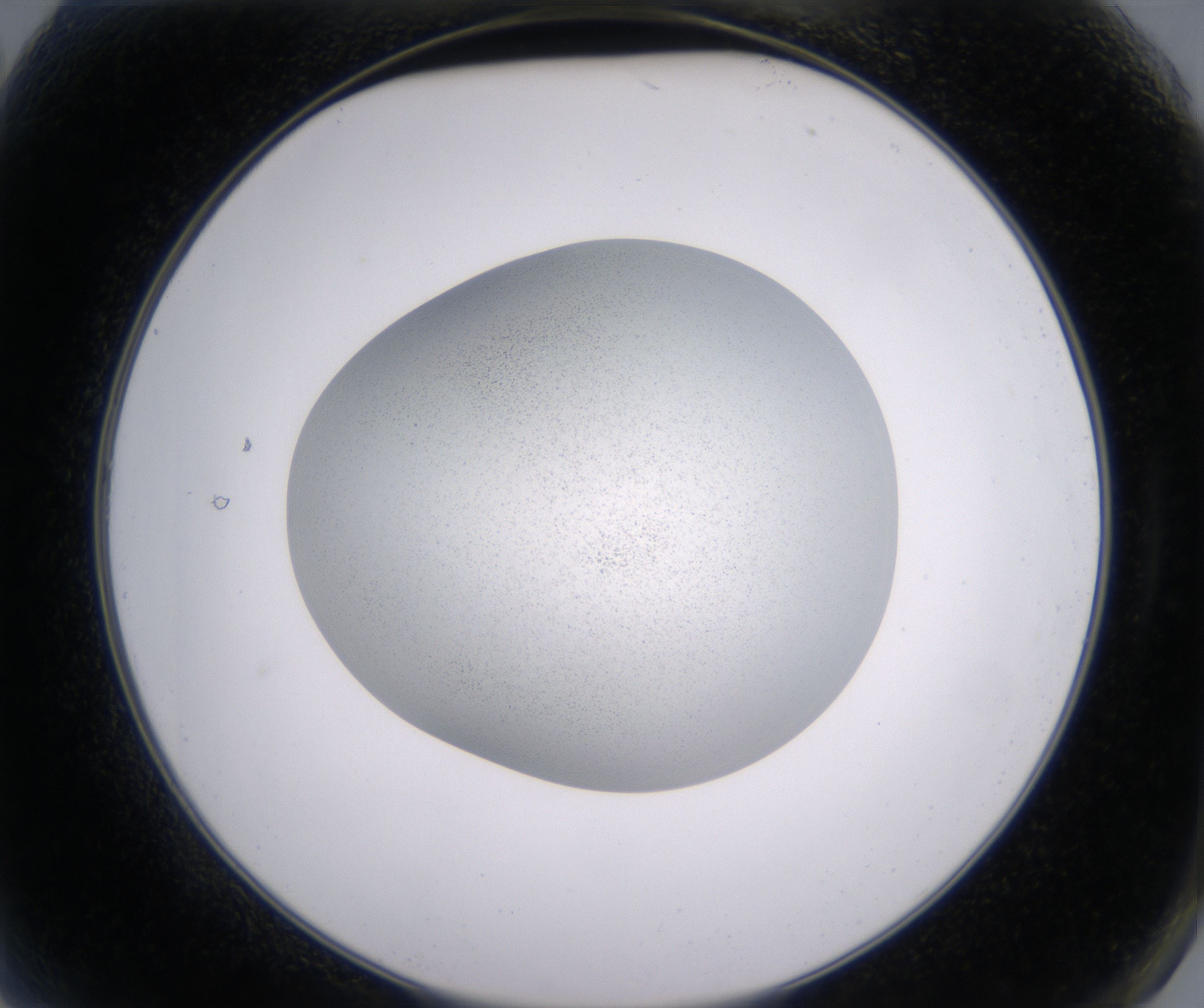 A2_HighResolution_Precipitate_2.jpg