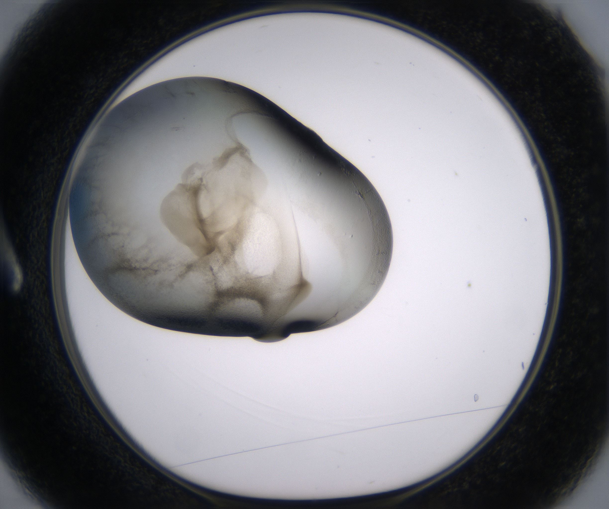 A3_HighResolution_Precipitate_1.jpg