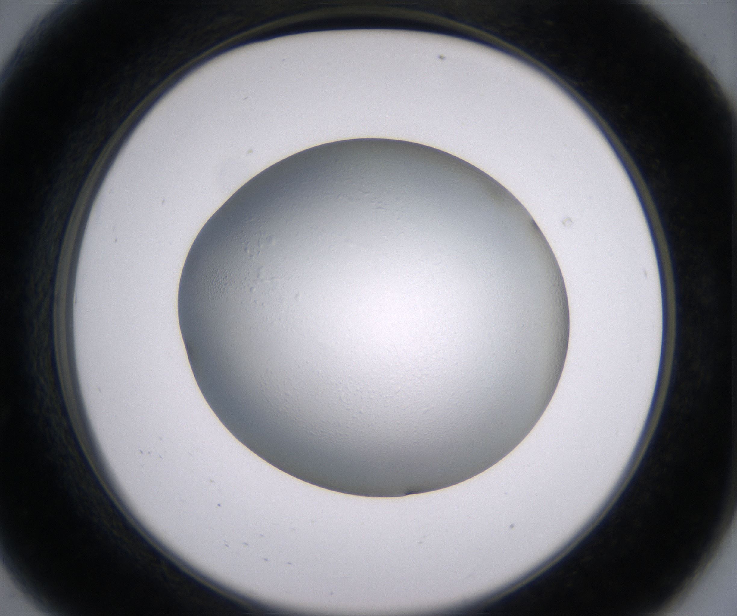 A8_HighResolution_Clear_2.jpg