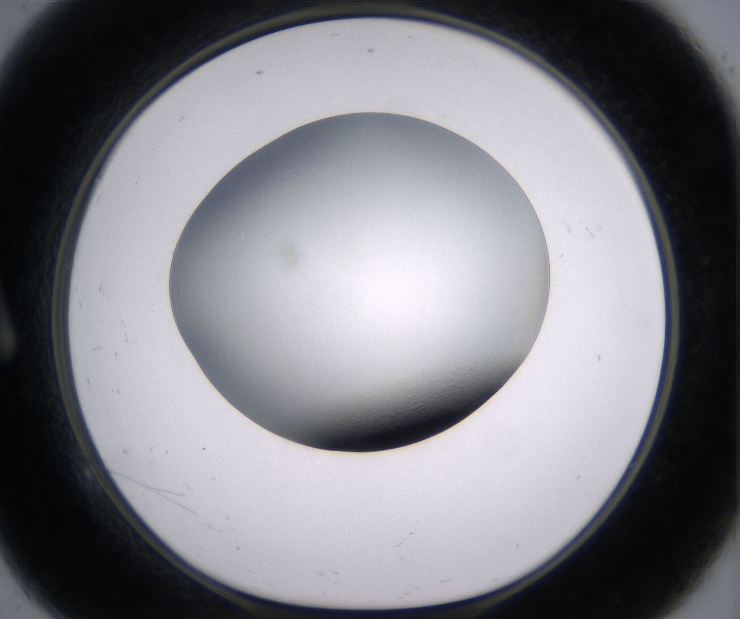 A9_HighResolution_Clear_1.jpg