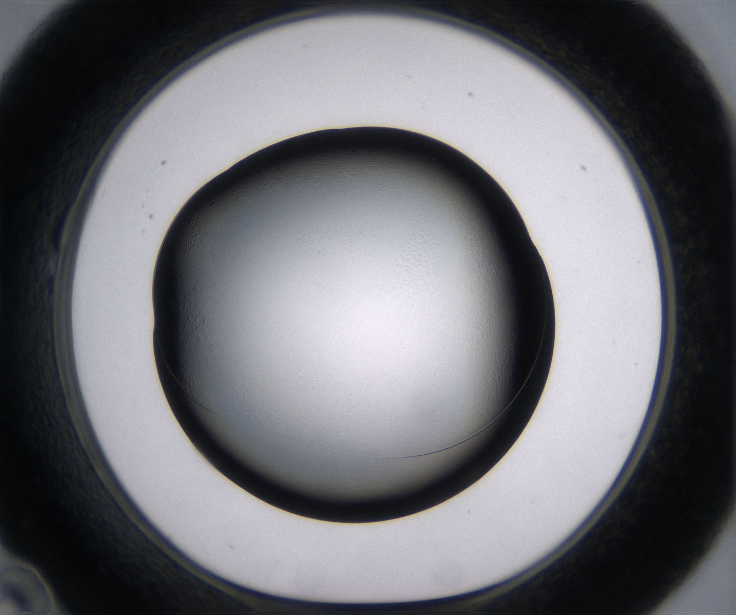 B10_HighResolution_Clear_1.jpg