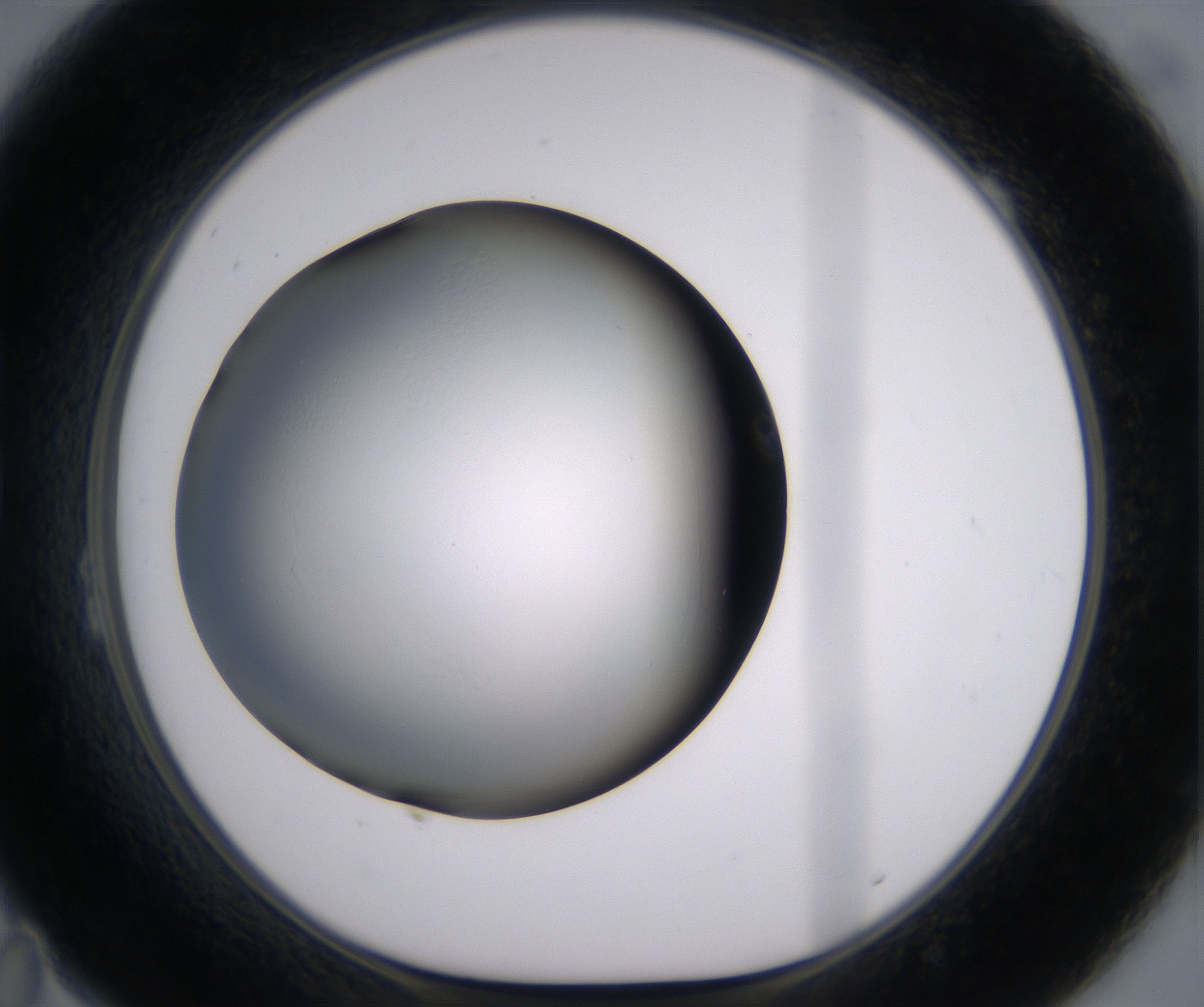 B11_HighResolution_Clear_1.jpg