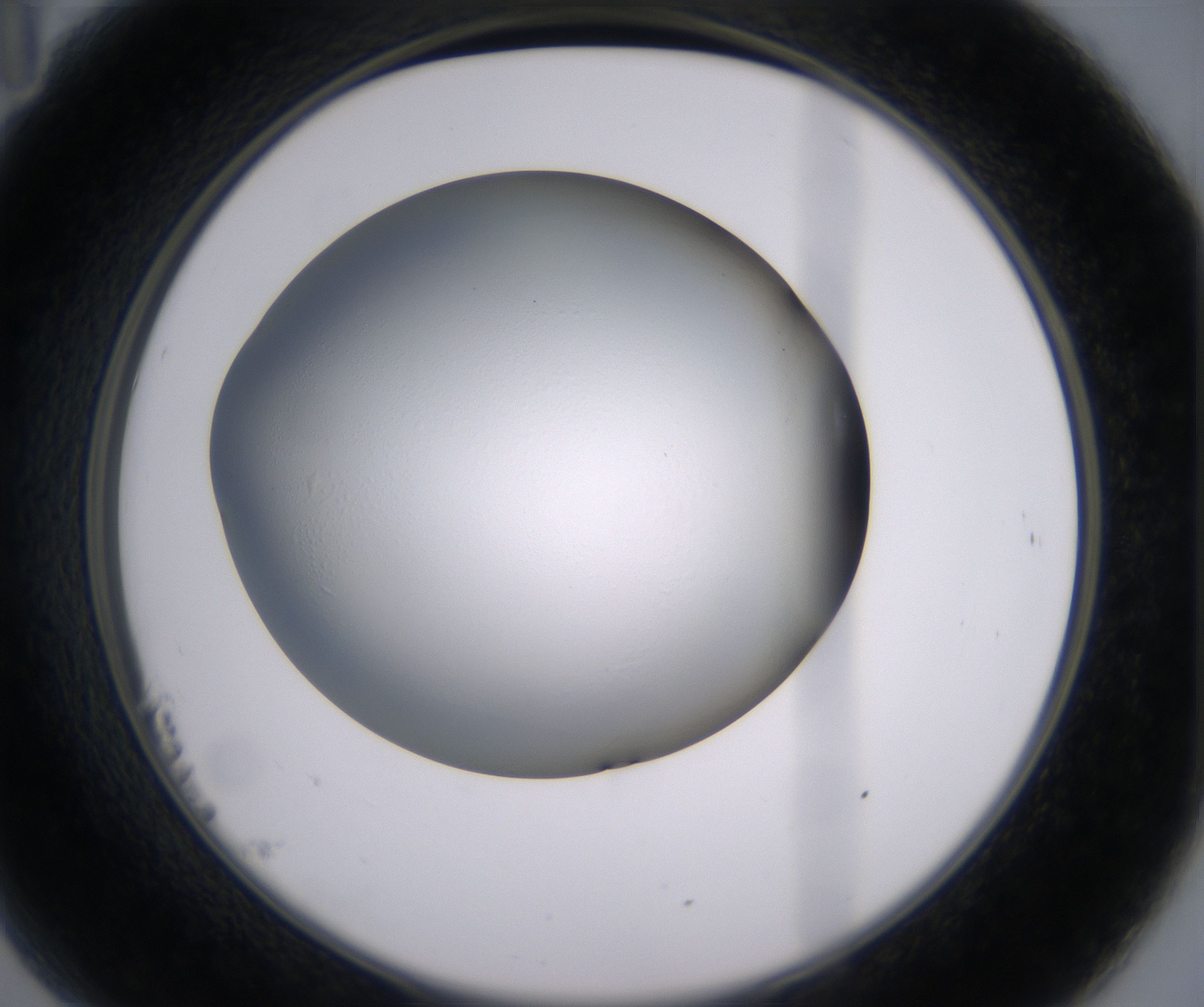 B11_HighResolution_Clear_2.jpg